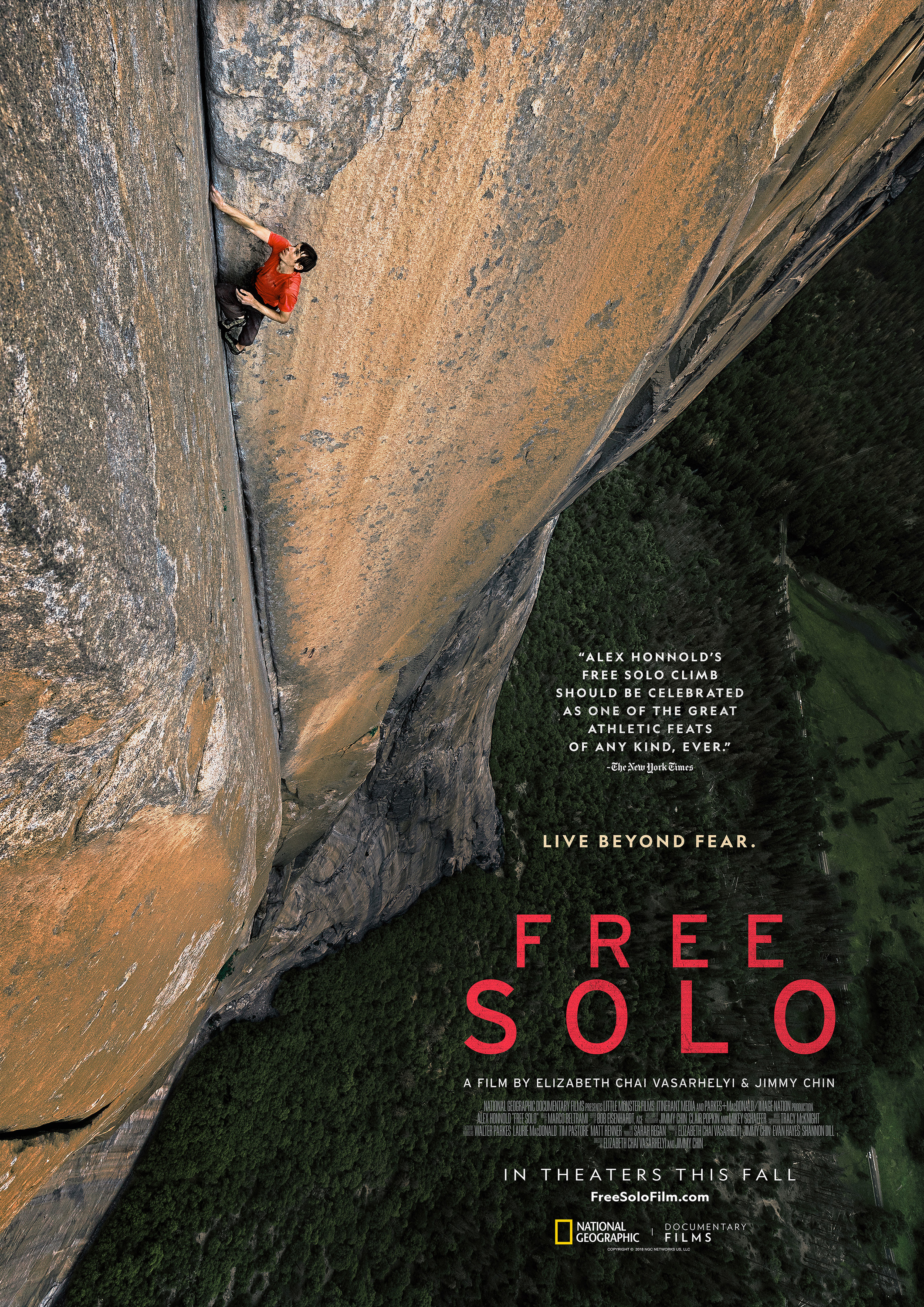 Mega Sized Movie Poster Image for Free Solo (#2 of 2)
