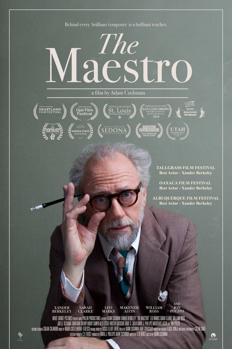 Extra Large Movie Poster Image for The Maestro 