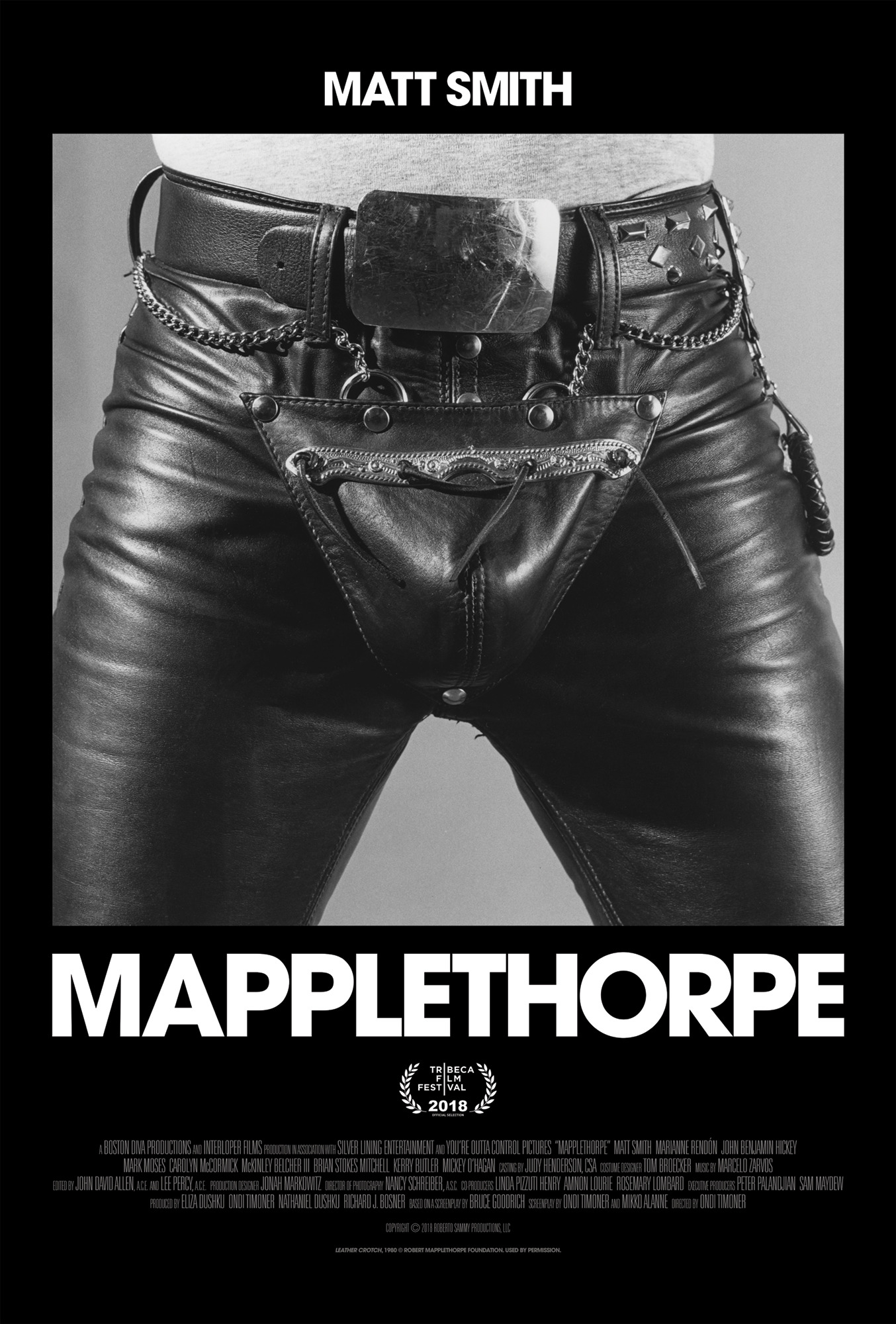 Mega Sized Movie Poster Image for Mapplethorpe (#1 of 2)