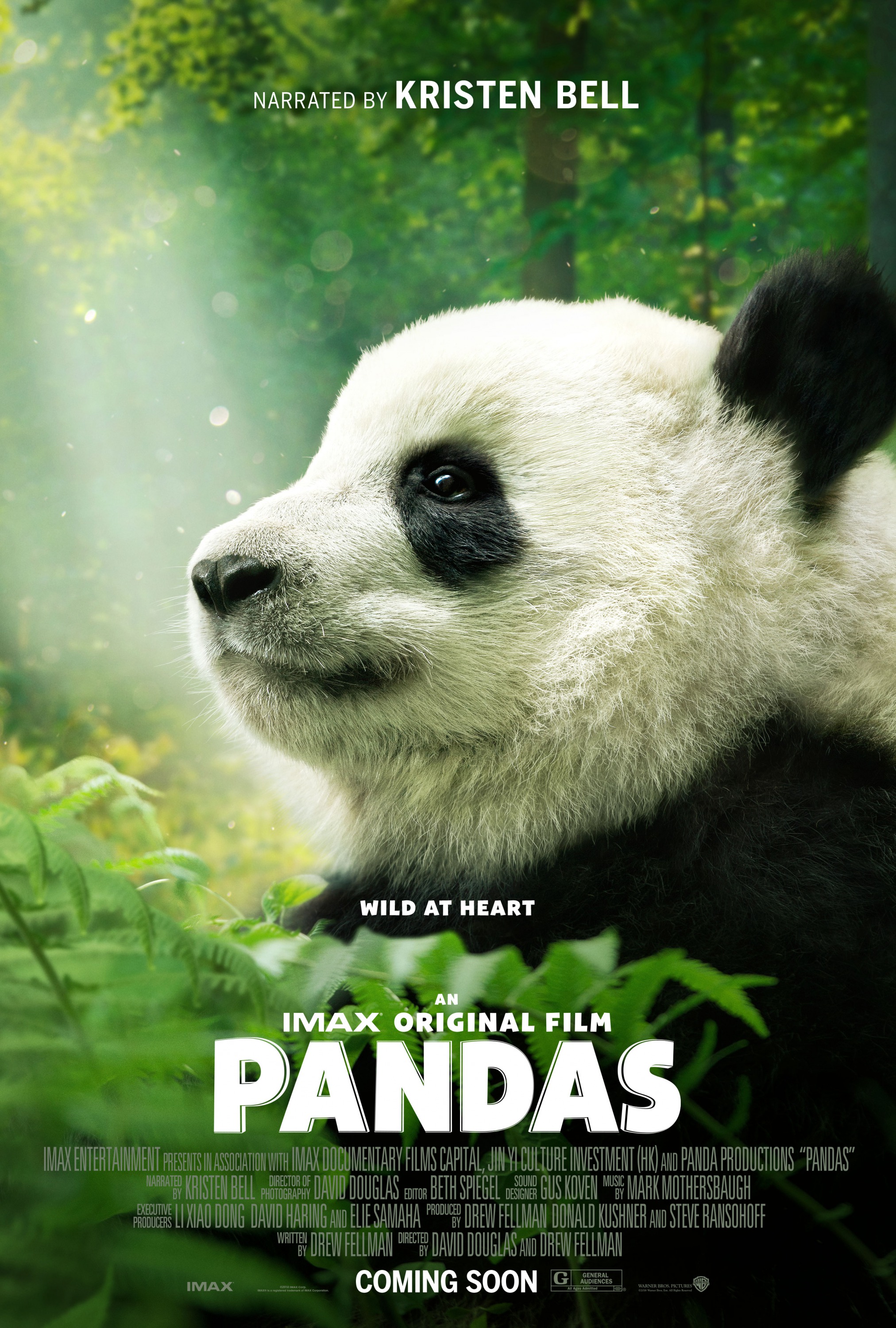 Mega Sized Movie Poster Image for Pandas (#2 of 2)