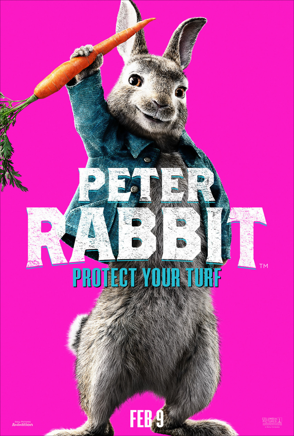 Extra Large Movie Poster Image for Peter Rabbit (#25 of 27)