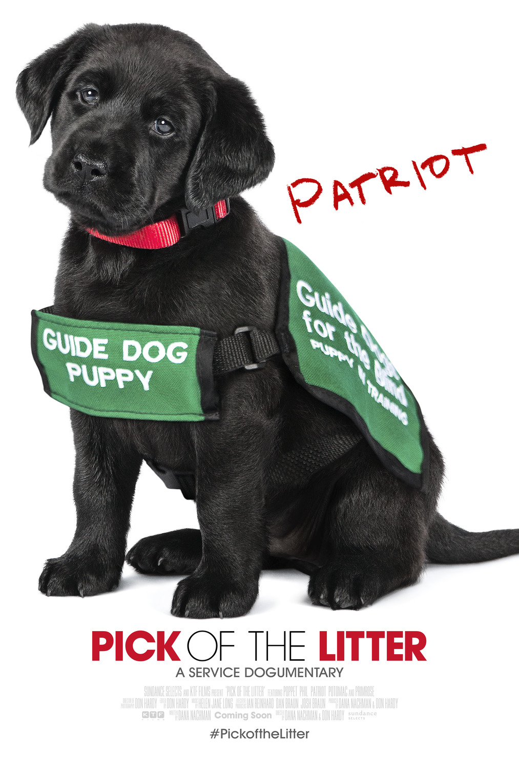 Extra Large Movie Poster Image for Pick of the Litter (#3 of 7)