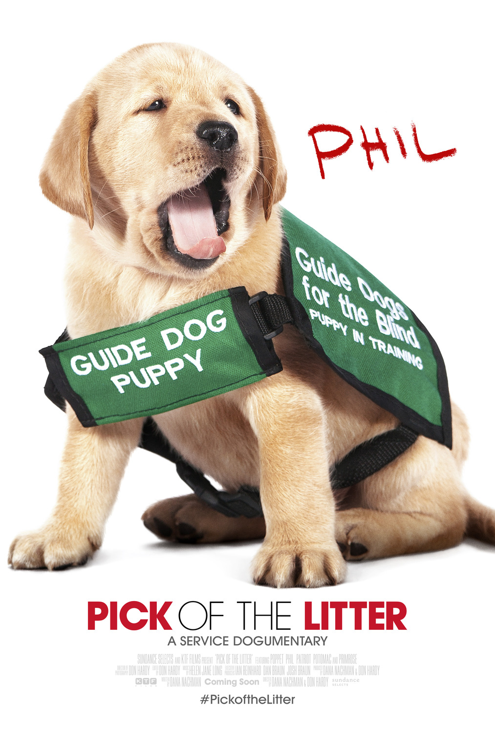 Extra Large Movie Poster Image for Pick of the Litter (#4 of 7)