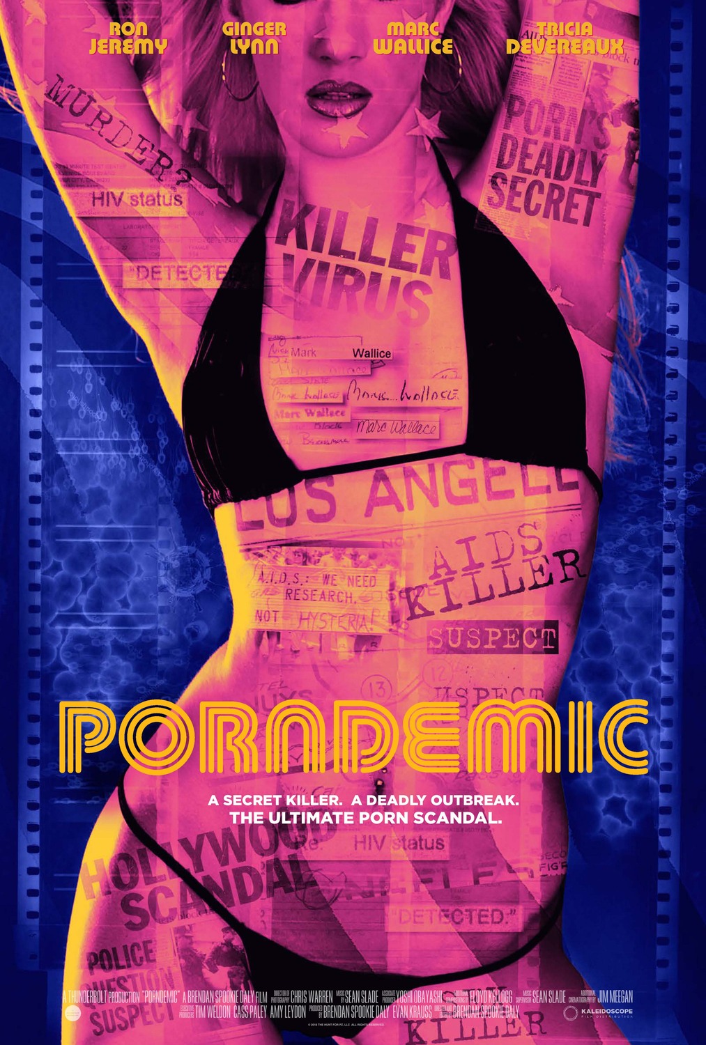 Extra Large Movie Poster Image for Porndemic 