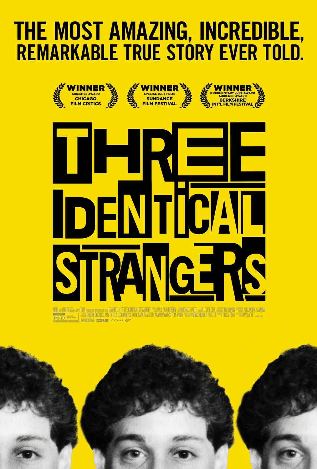Extra Large Movie Poster Image for Three Identical Strangers (#2 of 2)