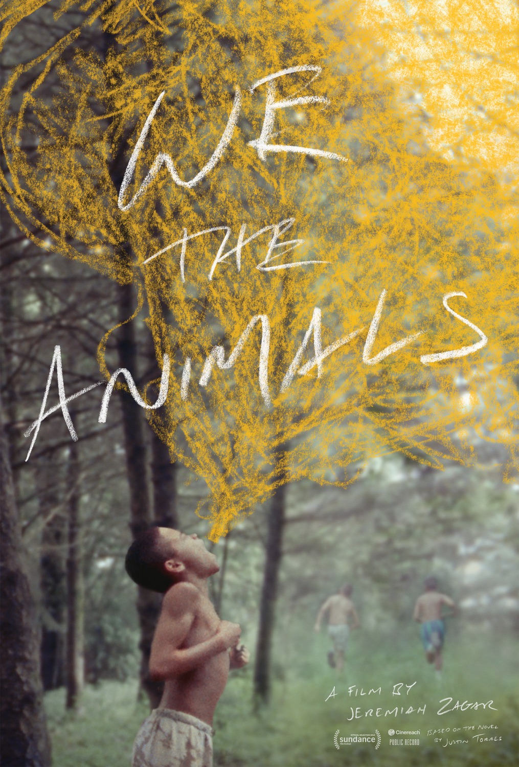 Extra Large Movie Poster Image for We the Animals 