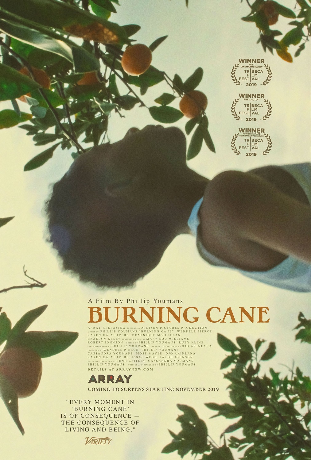 Extra Large Movie Poster Image for Burning Cane 