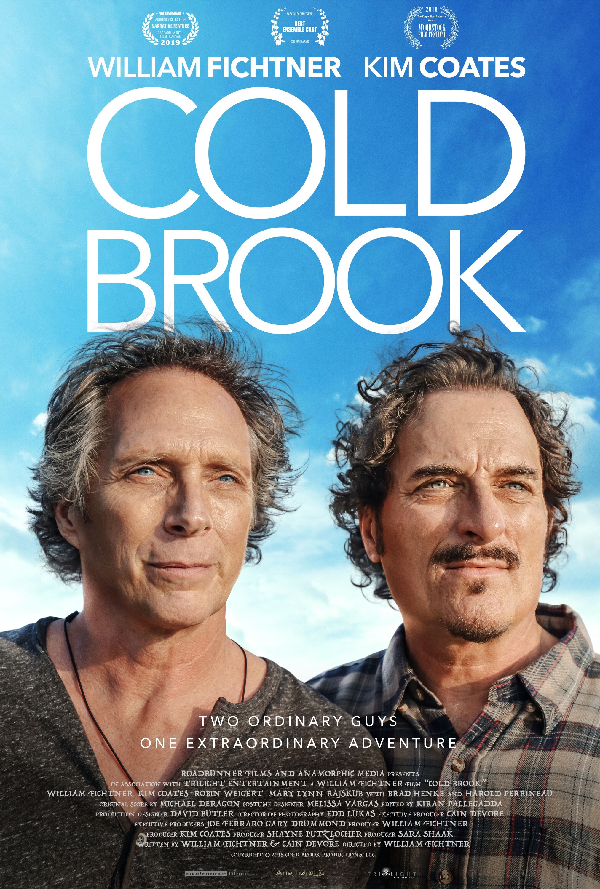 Mega Sized Movie Poster Image for Cold Brook (#2 of 2)