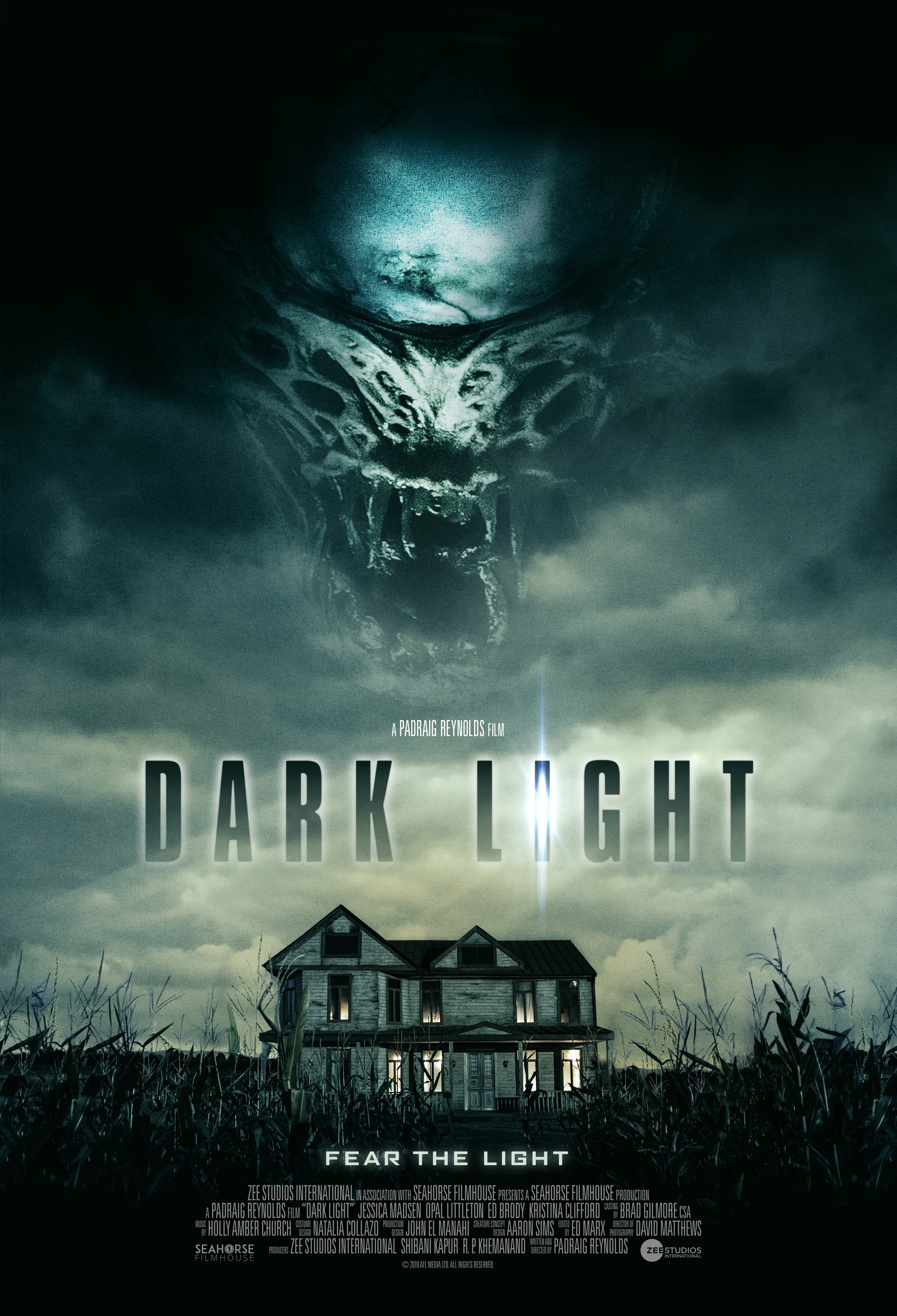 Mega Sized Movie Poster Image for Dark Light 