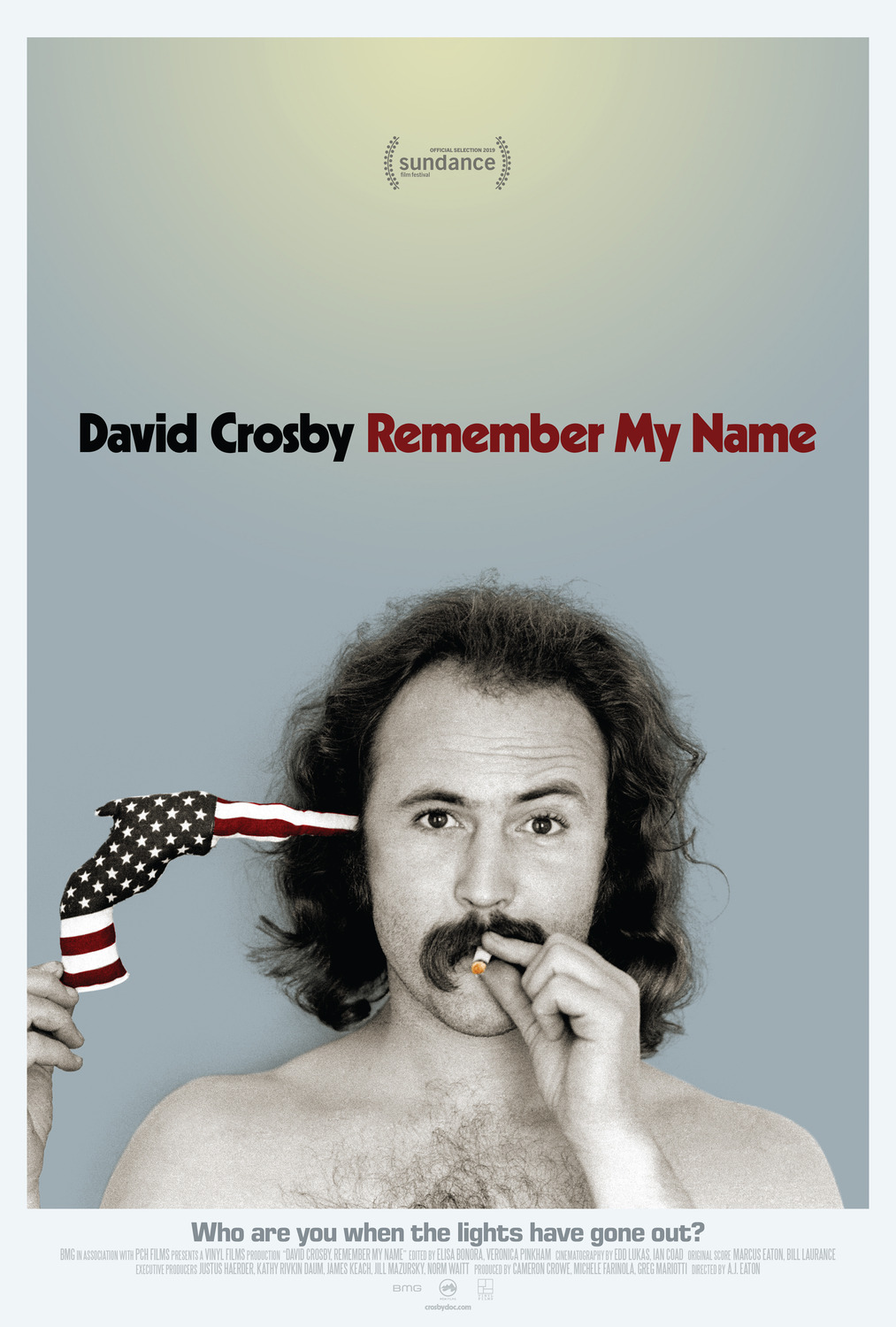 Extra Large Movie Poster Image for David Crosby: Remember My Name (#1 of 2)