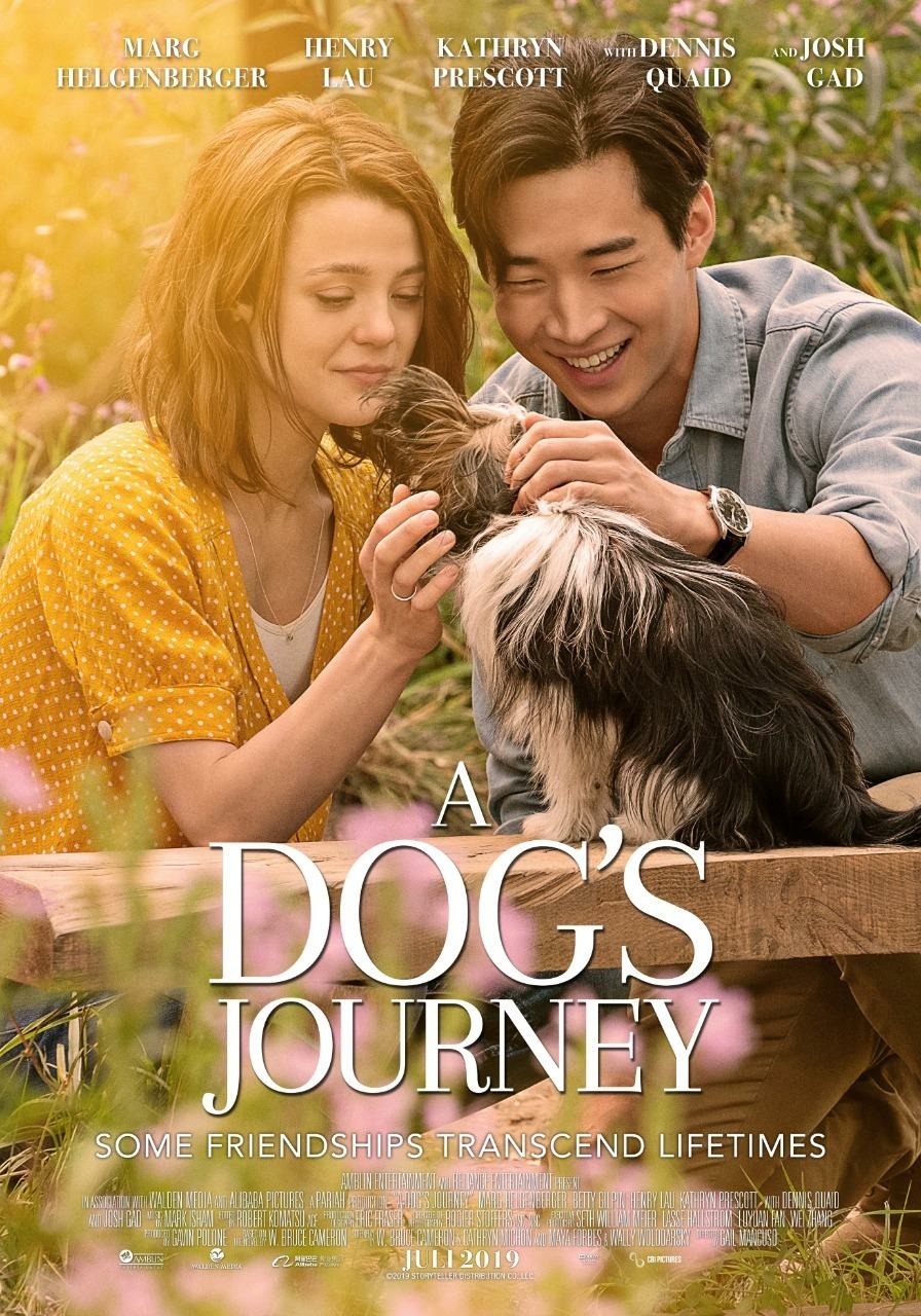Extra Large Movie Poster Image for A Dog's Journey (#10 of 11)