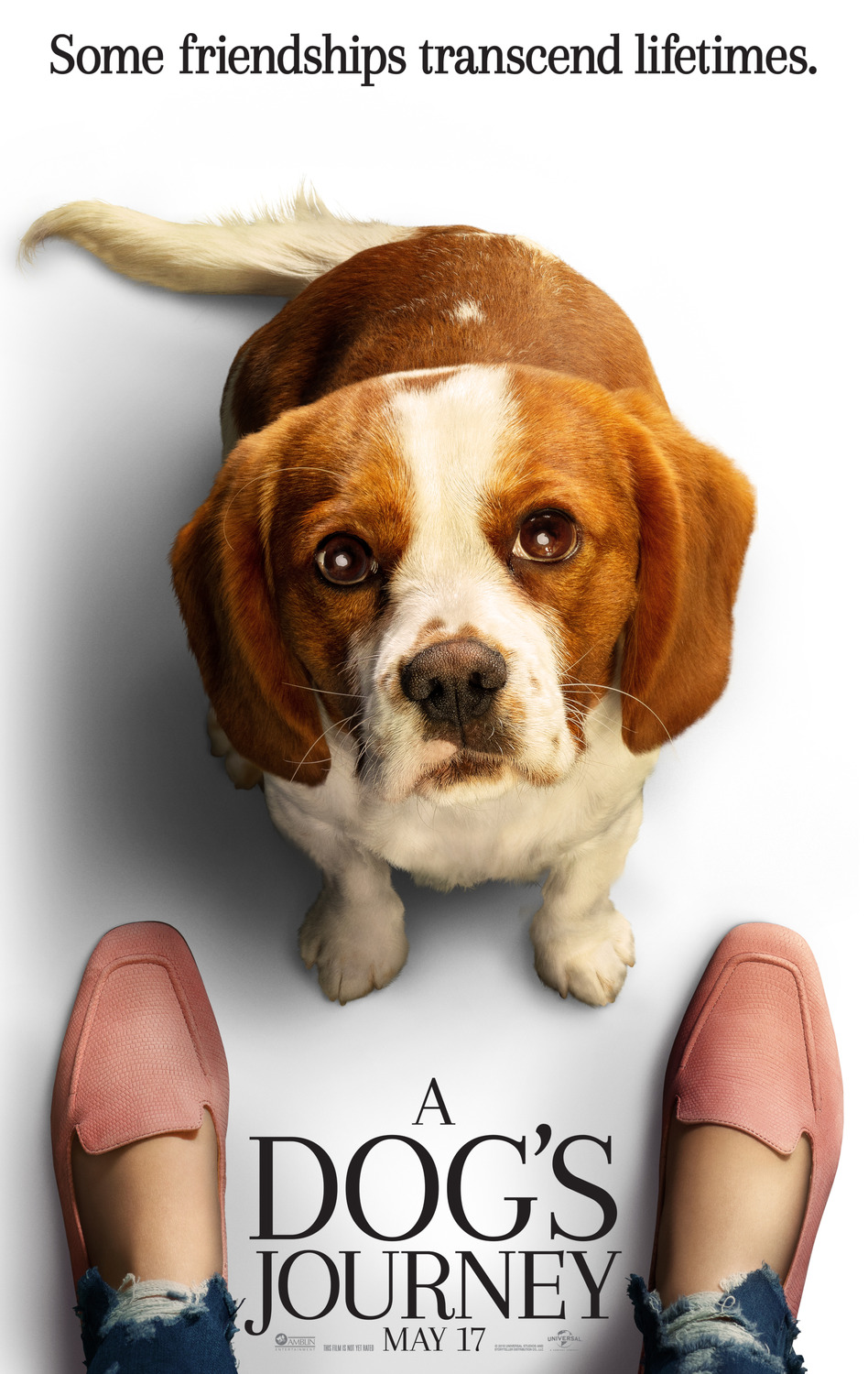 Extra Large Movie Poster Image for A Dog's Journey (#4 of 11)