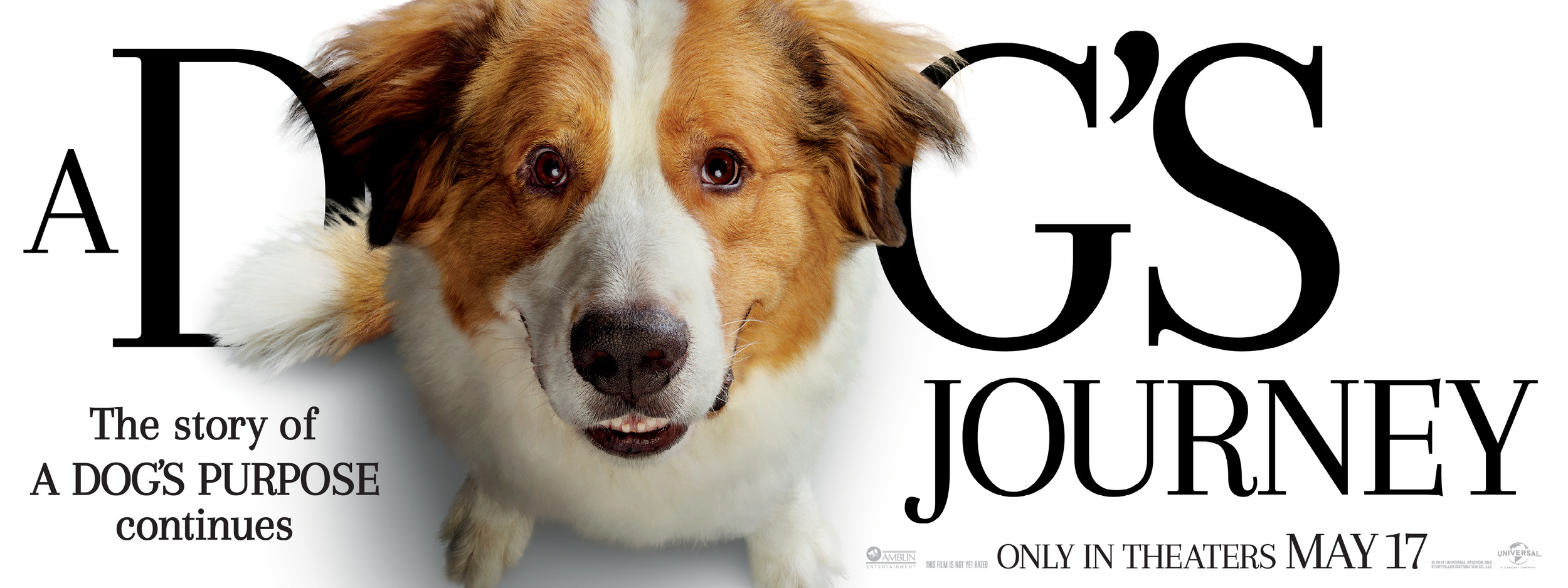 Mega Sized Movie Poster Image for A Dog's Journey (#6 of 11)