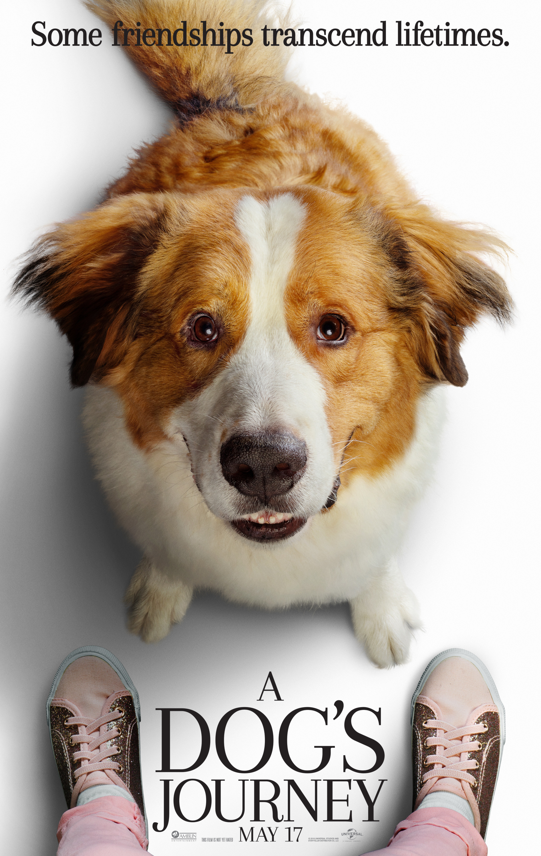 A Dog's Journey (#1 of 11): Mega Sized Movie Poster Image - IMP Awards