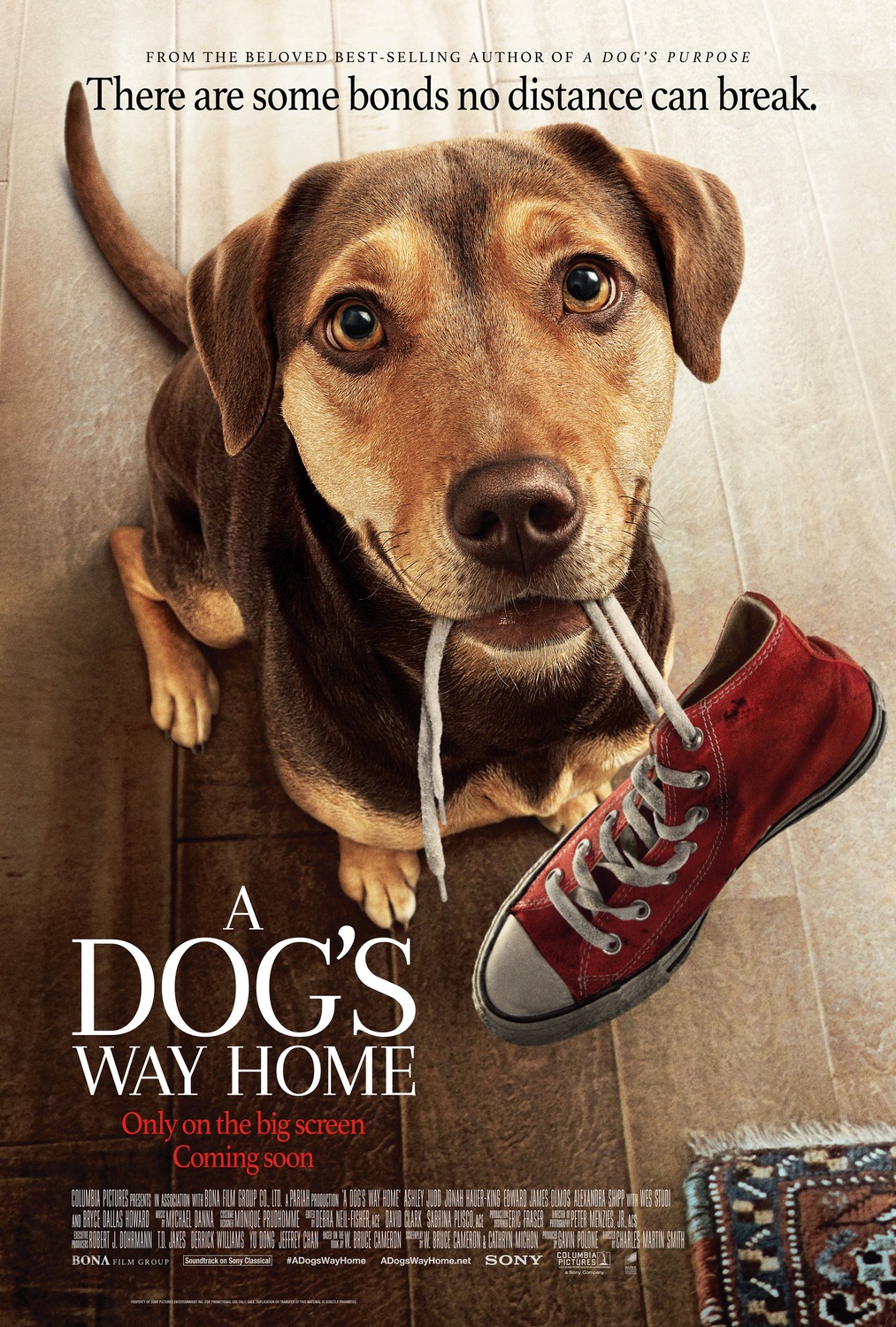 Extra Large Movie Poster Image for A Dog's Way Home (#2 of 9)