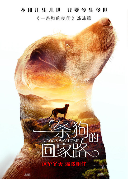 A Dog's Way Home Movie Poster