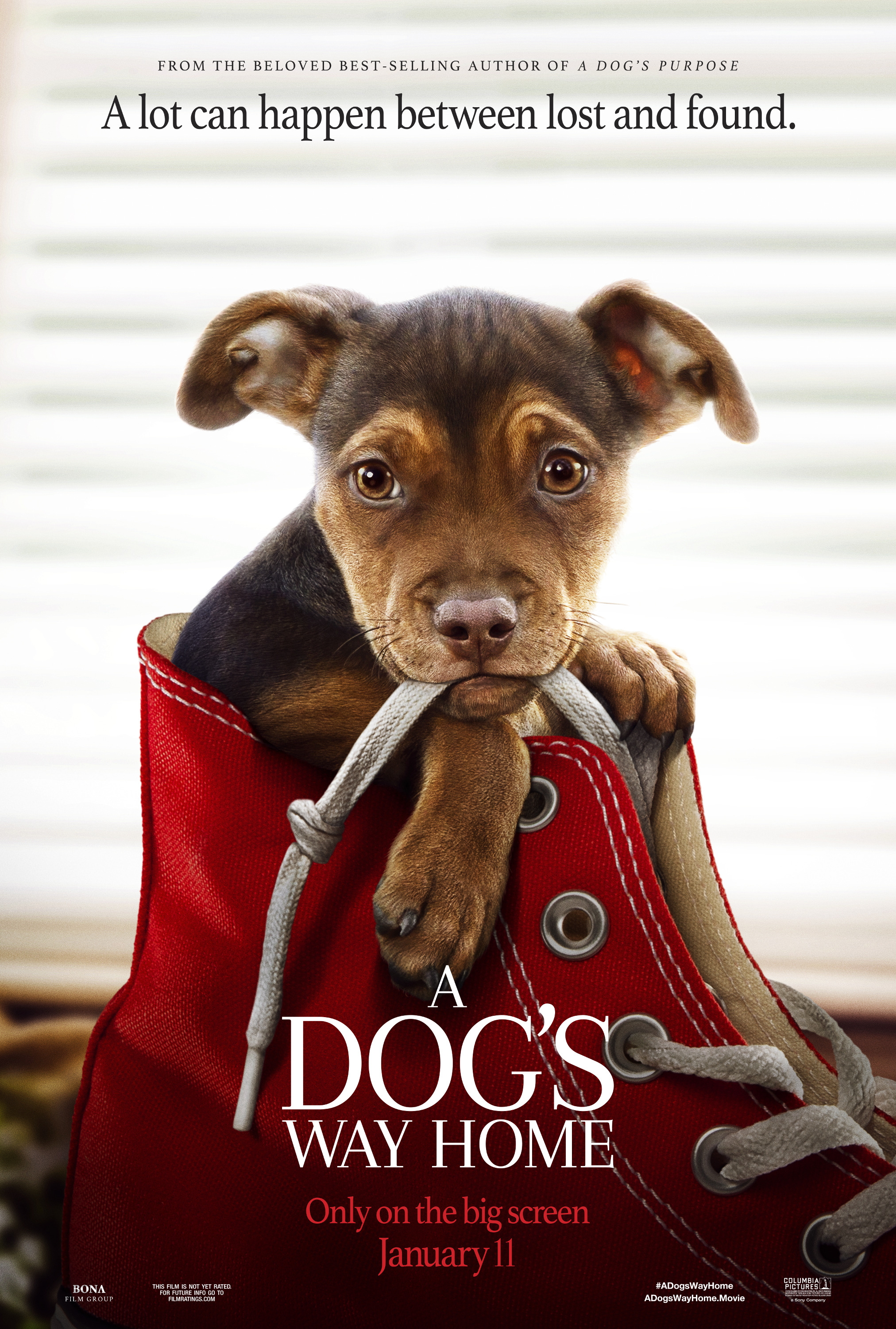 Mega Sized Movie Poster Image for A Dog's Way Home (#1 of 9)