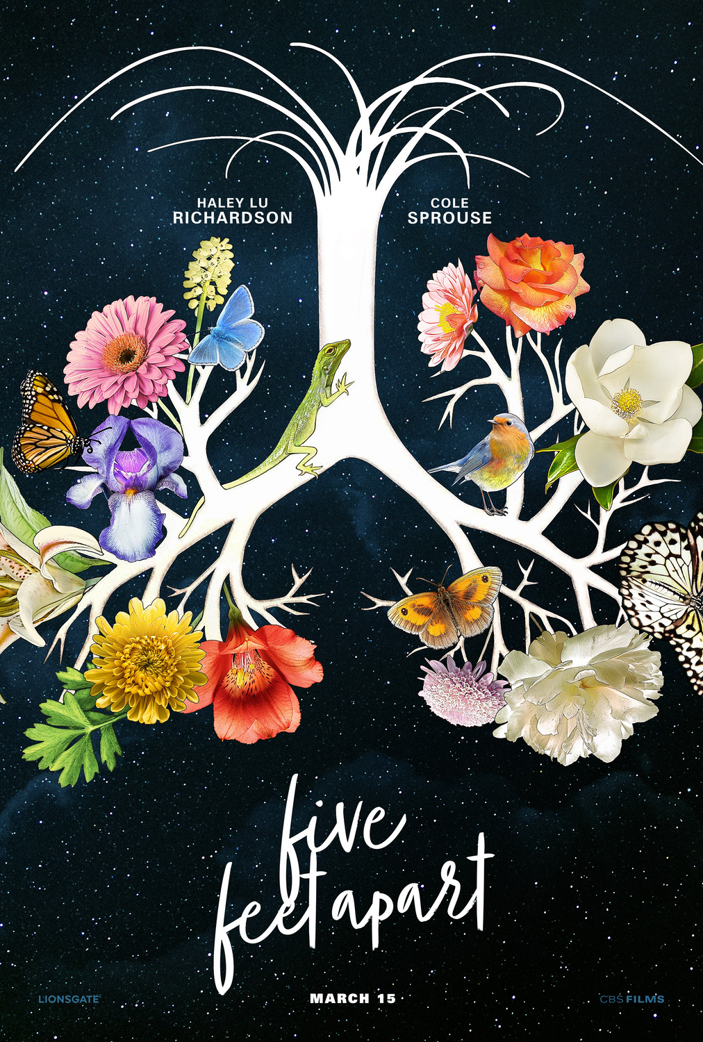 Extra Large Movie Poster Image for Five Feet Apart (#4 of 5)