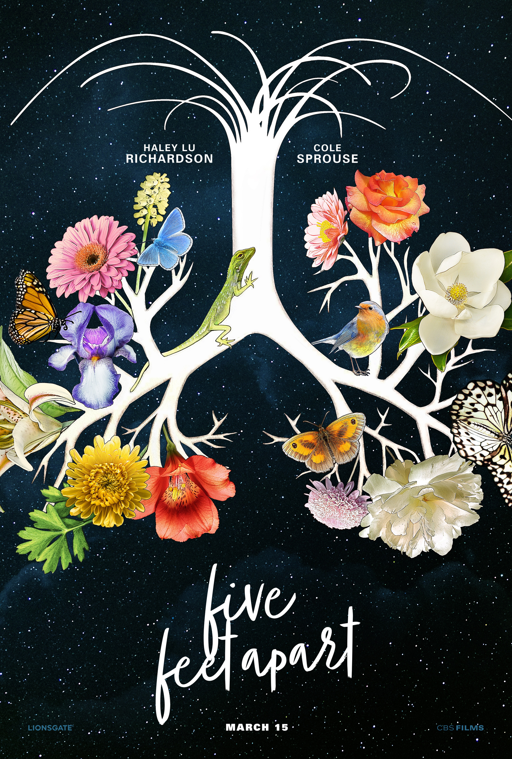 Mega Sized Movie Poster Image for Five Feet Apart (#4 of 5)