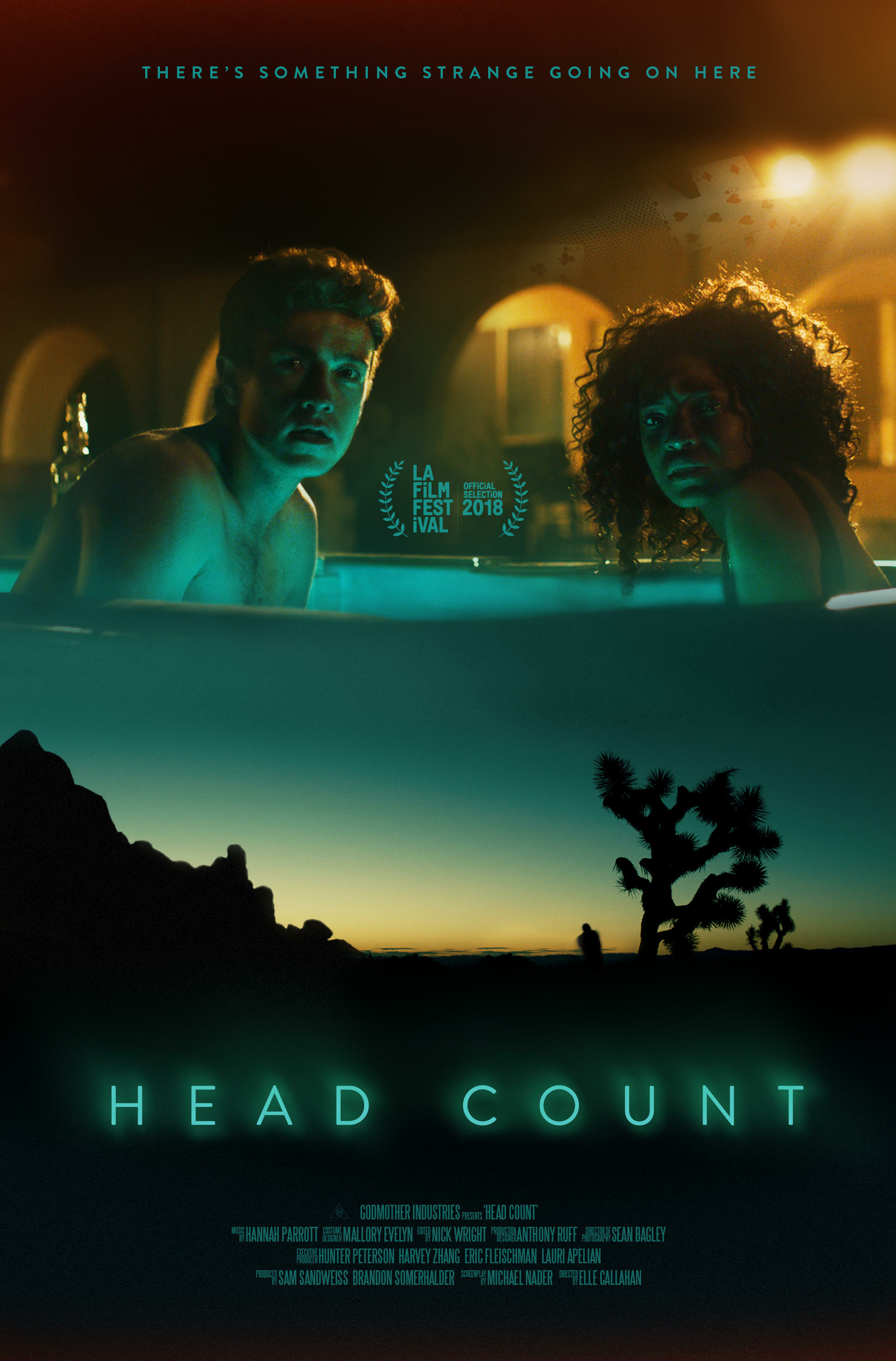 Mega Sized Movie Poster Image for Head Count (#1 of 2)