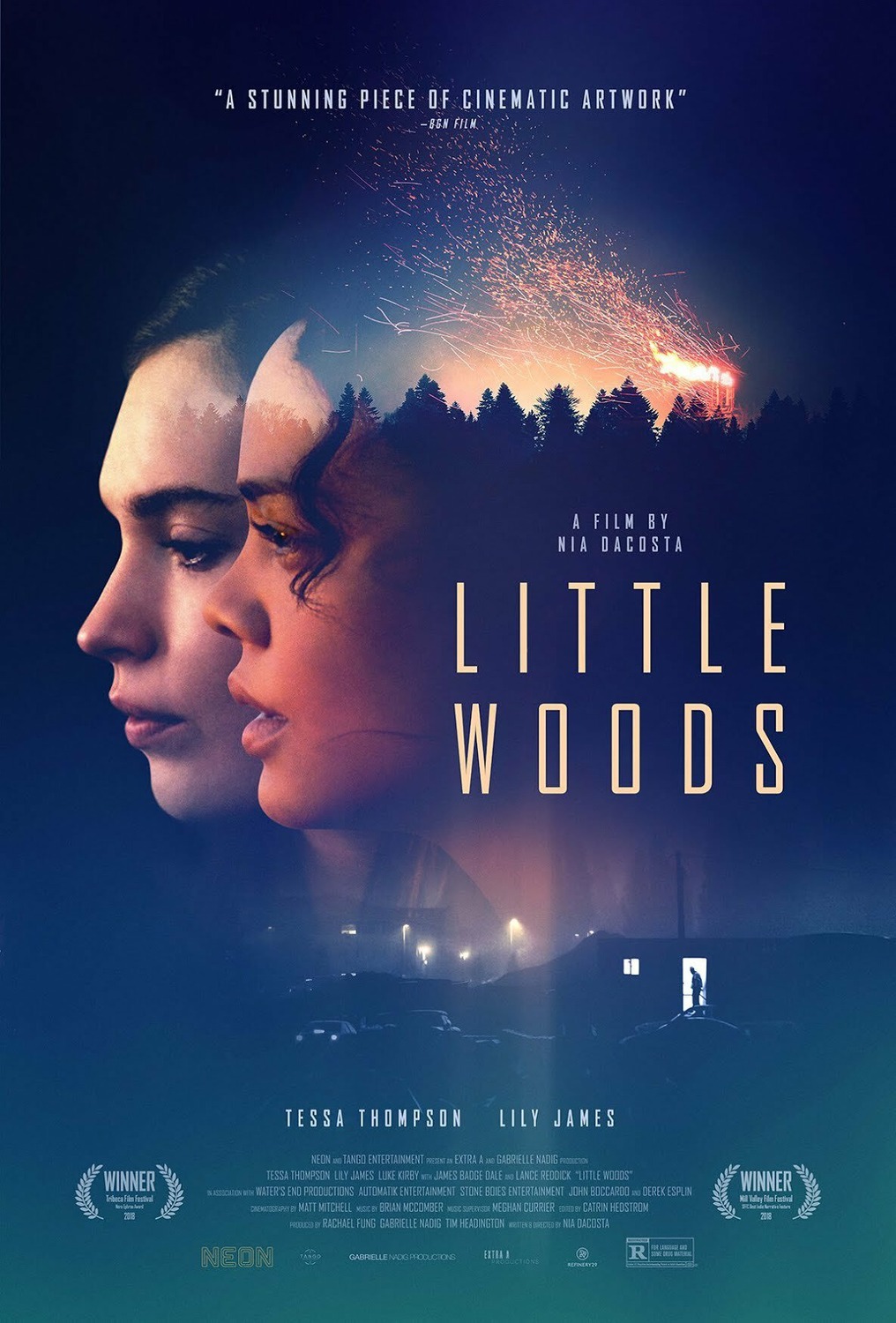 Extra Large Movie Poster Image for Little Woods 