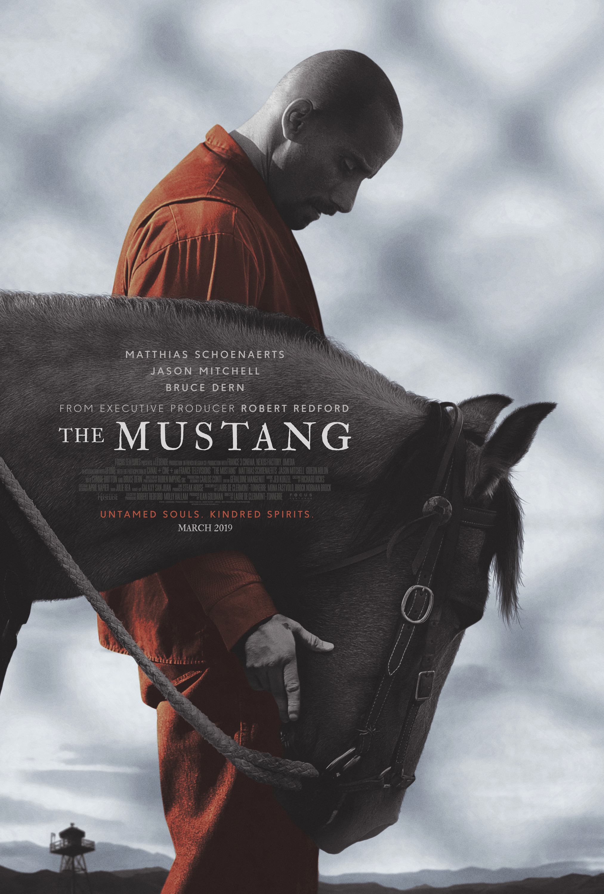 Mega Sized Movie Poster Image for The Mustang 