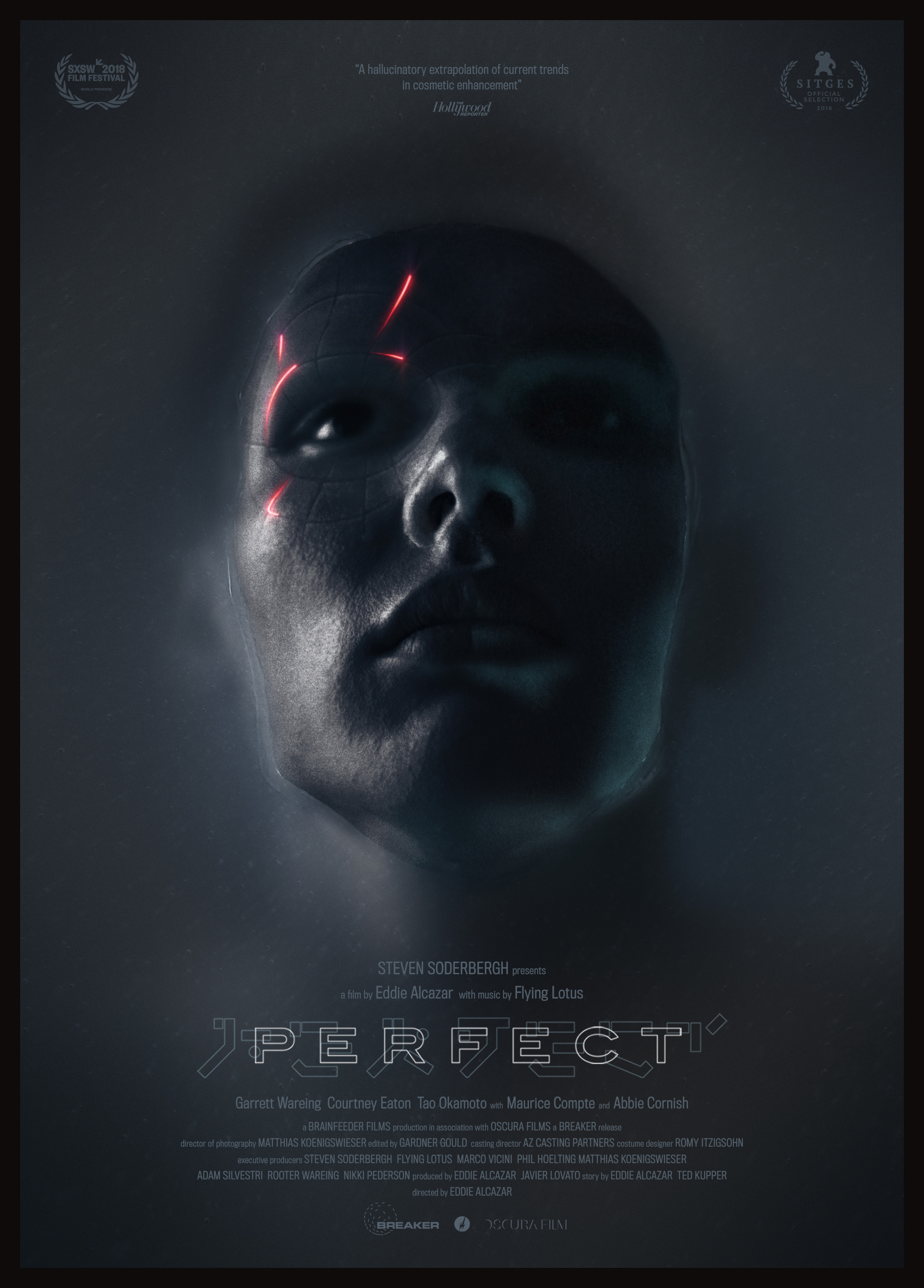 Mega Sized Movie Poster Image for Perfect (#2 of 2)