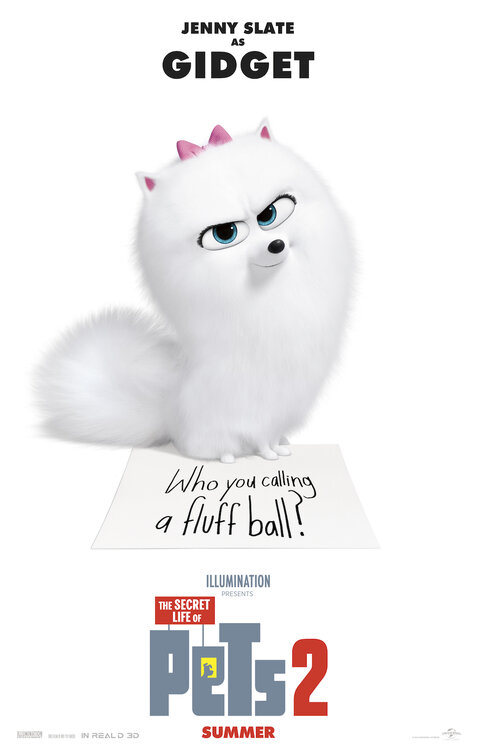 The Secret Life of Pets 2 Movie Poster