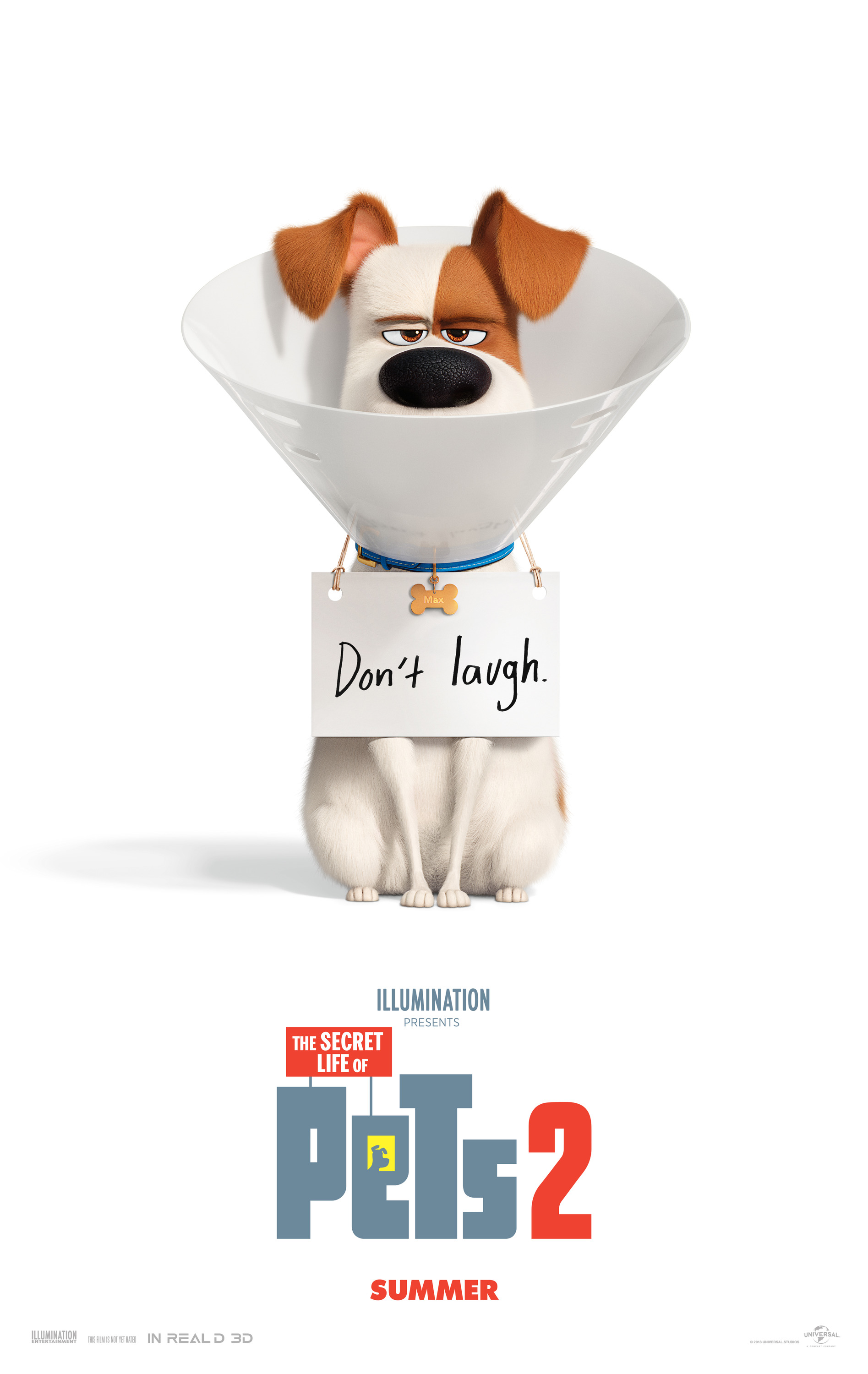 Mega Sized Movie Poster Image for The Secret Life of Pets 2 (#1 of 33)