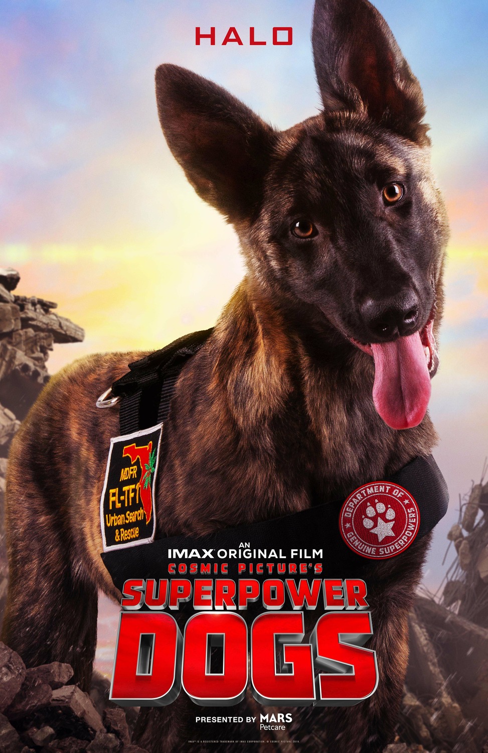 Extra Large Movie Poster Image for Superpower Dogs (#3 of 7)