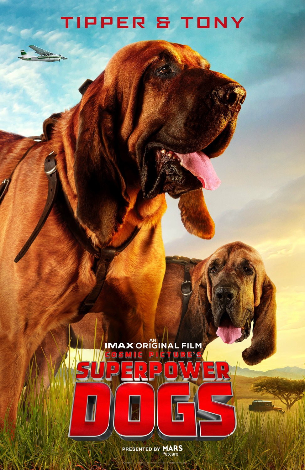 Extra Large Movie Poster Image for Superpower Dogs (#7 of 7)