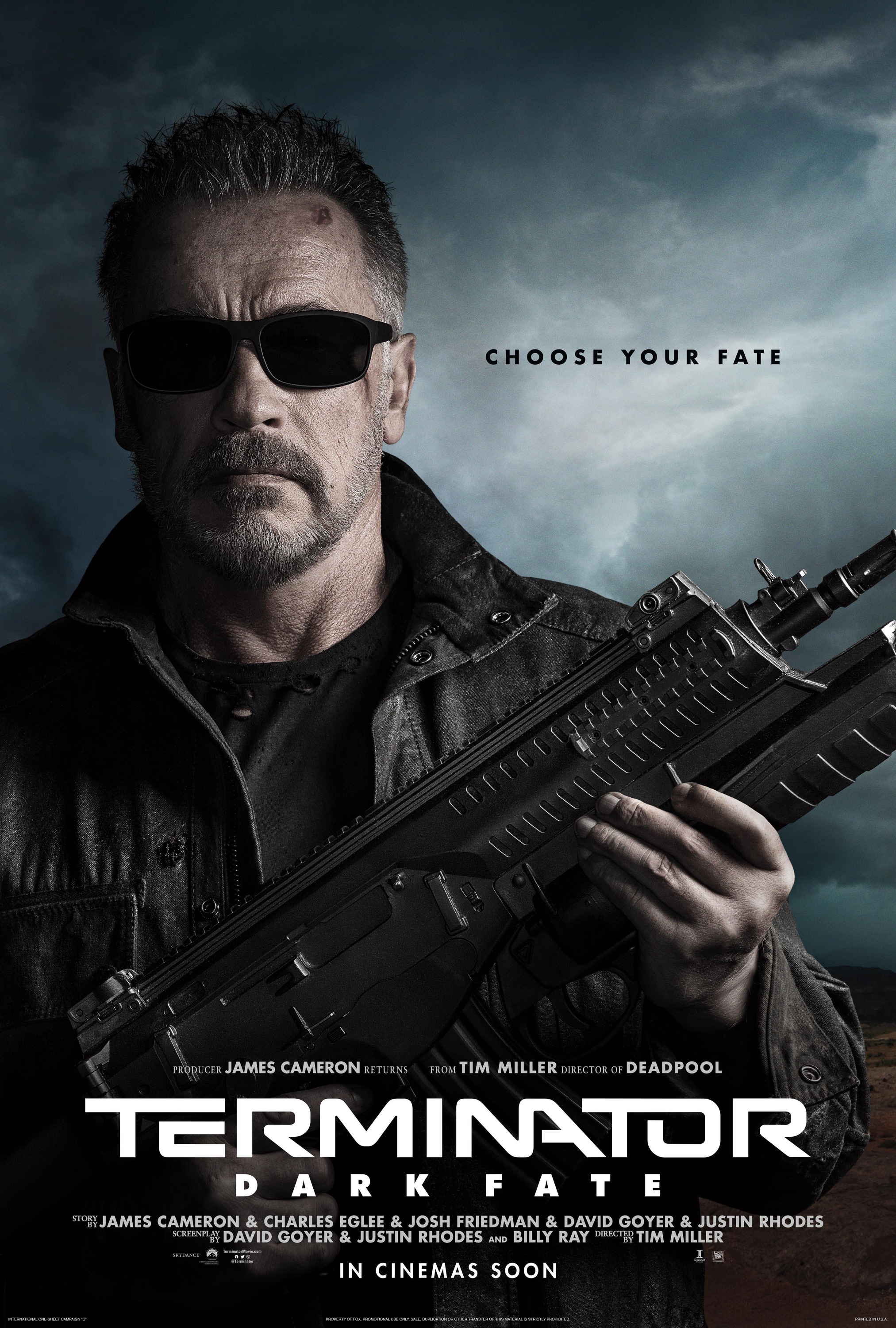 Mega Sized Movie Poster Image for Terminator: Dark Fate (#5 of 15)
