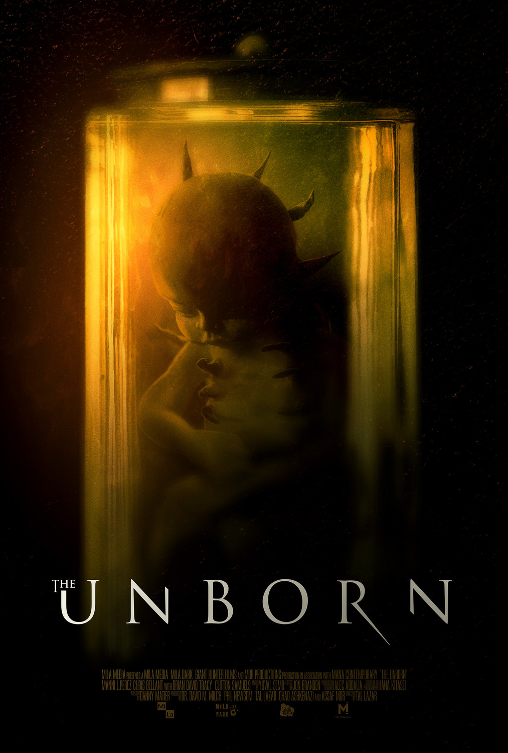 Extra Large Movie Poster Image for The Unborn 