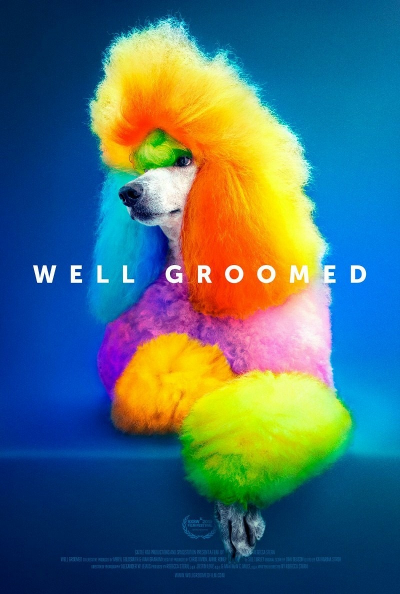 Extra Large Movie Poster Image for Well Groomed 