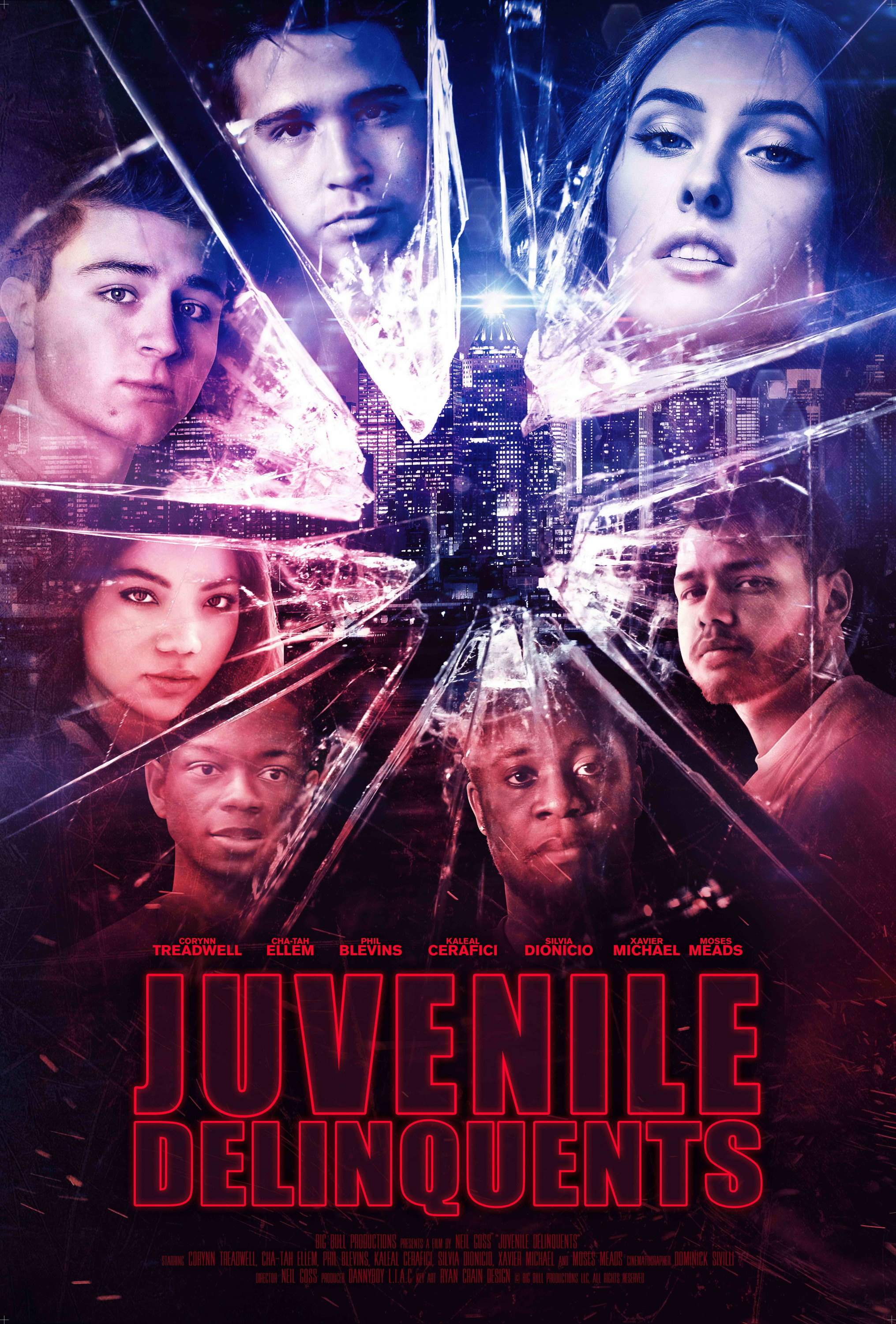 Mega Sized Movie Poster Image for Juvenile Delinquents: New World Order 