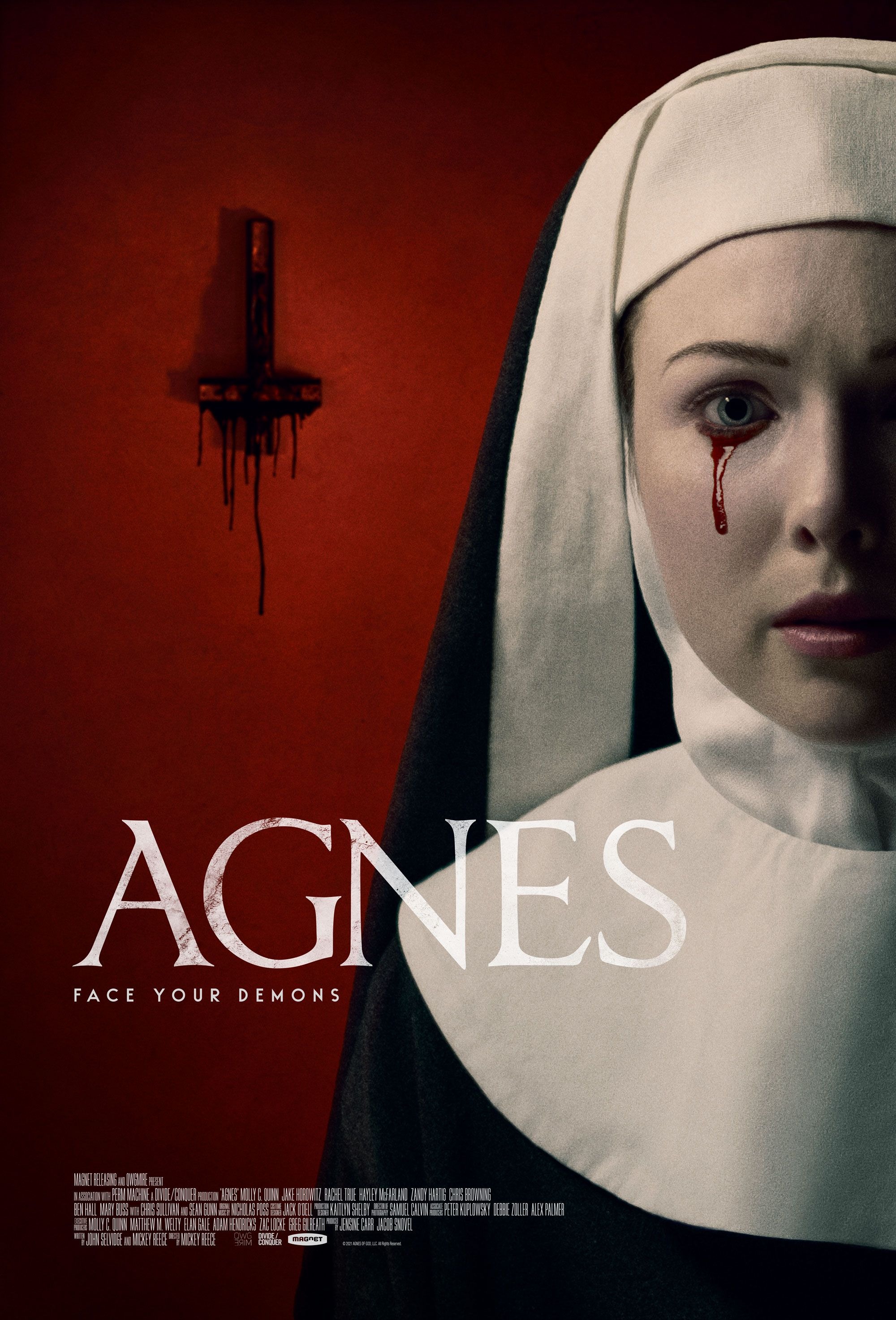 Mega Sized Movie Poster Image for Agnes 