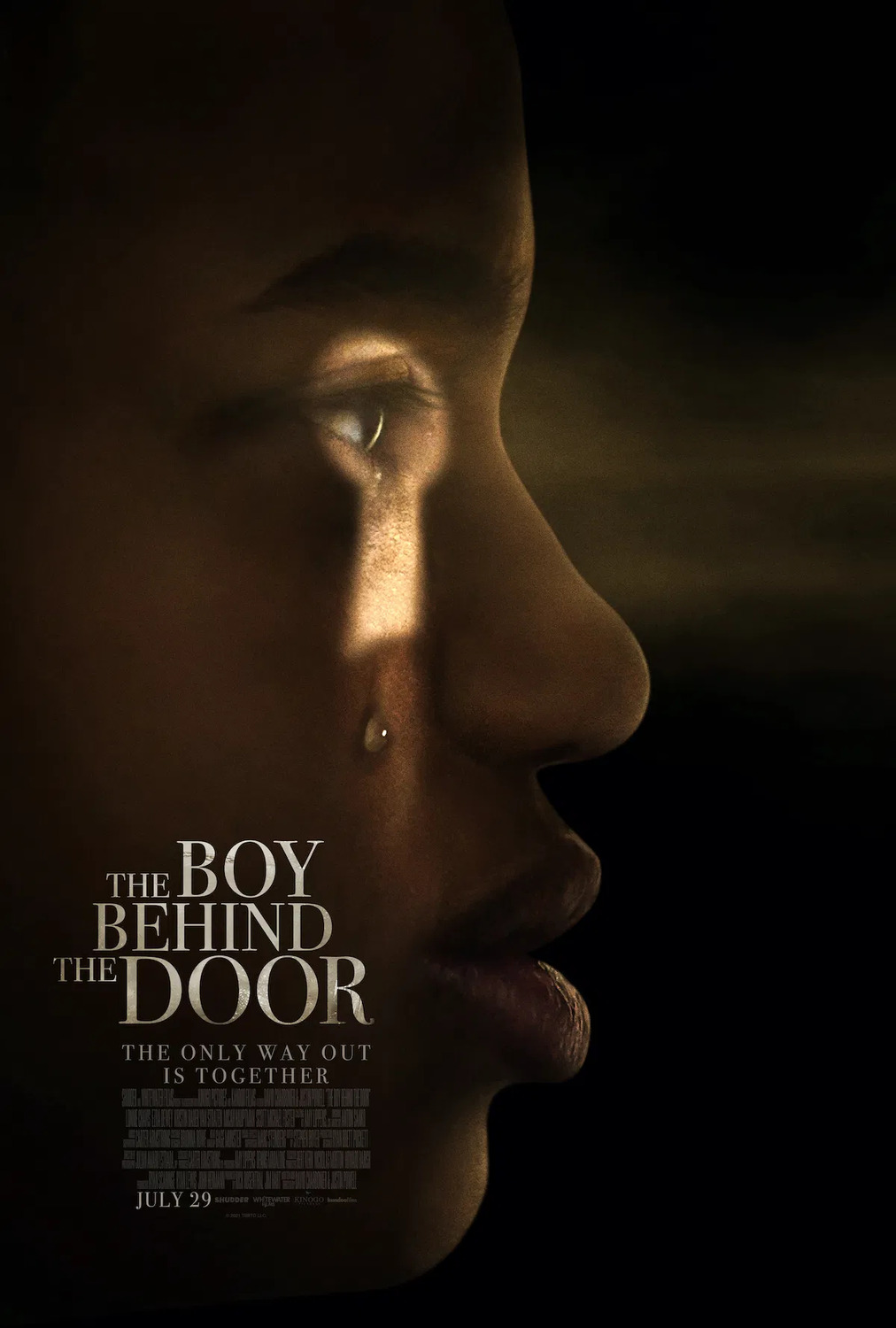 Extra Large Movie Poster Image for The Boy Behind the Door (#2 of 4)