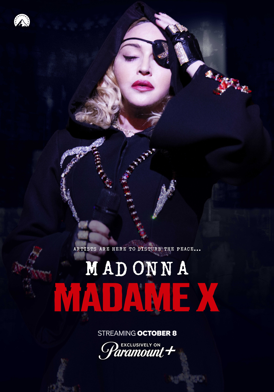 Extra Large Movie Poster Image for Madame X 