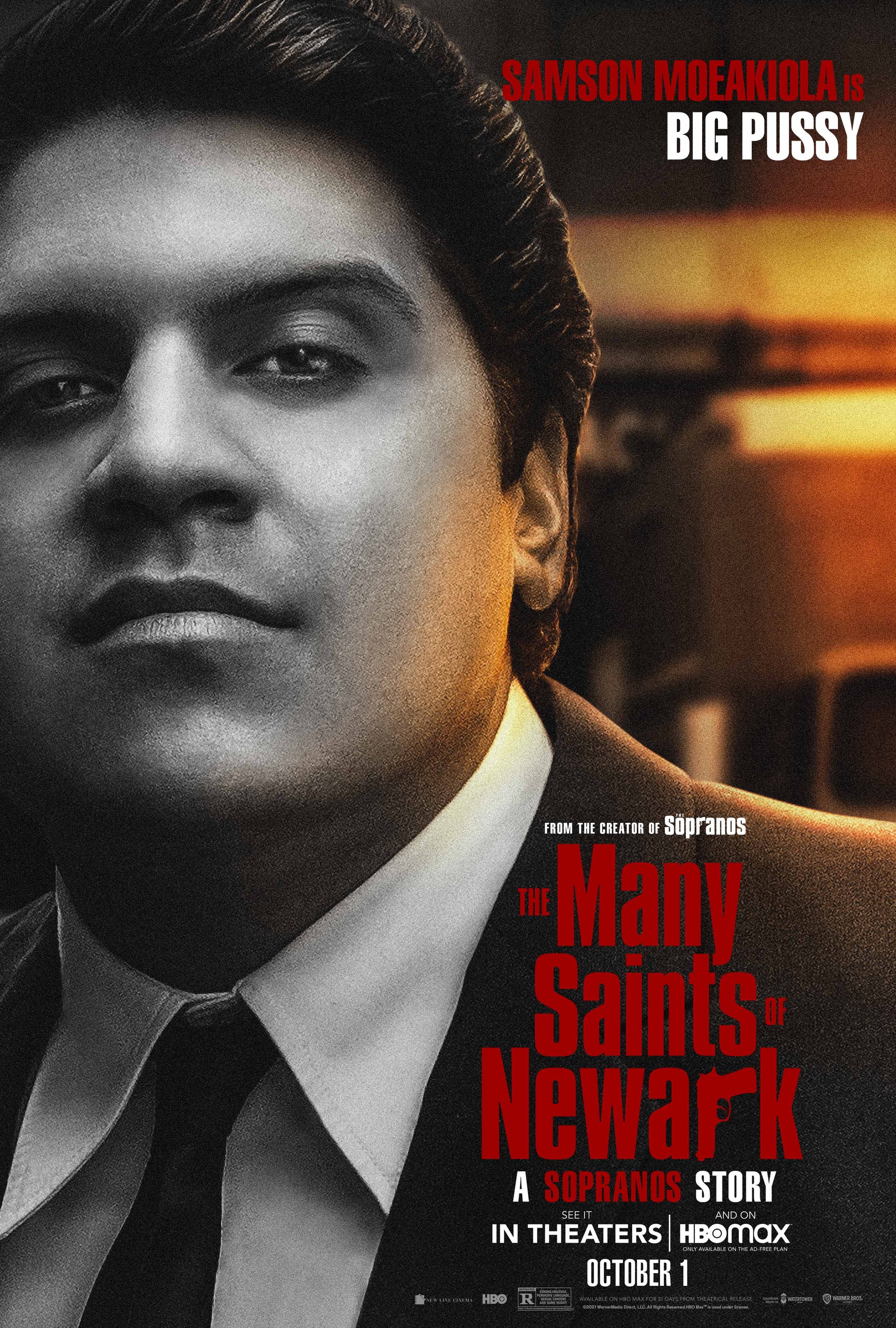 Mega Sized Movie Poster Image for The Many Saints of Newark (#10 of 12)