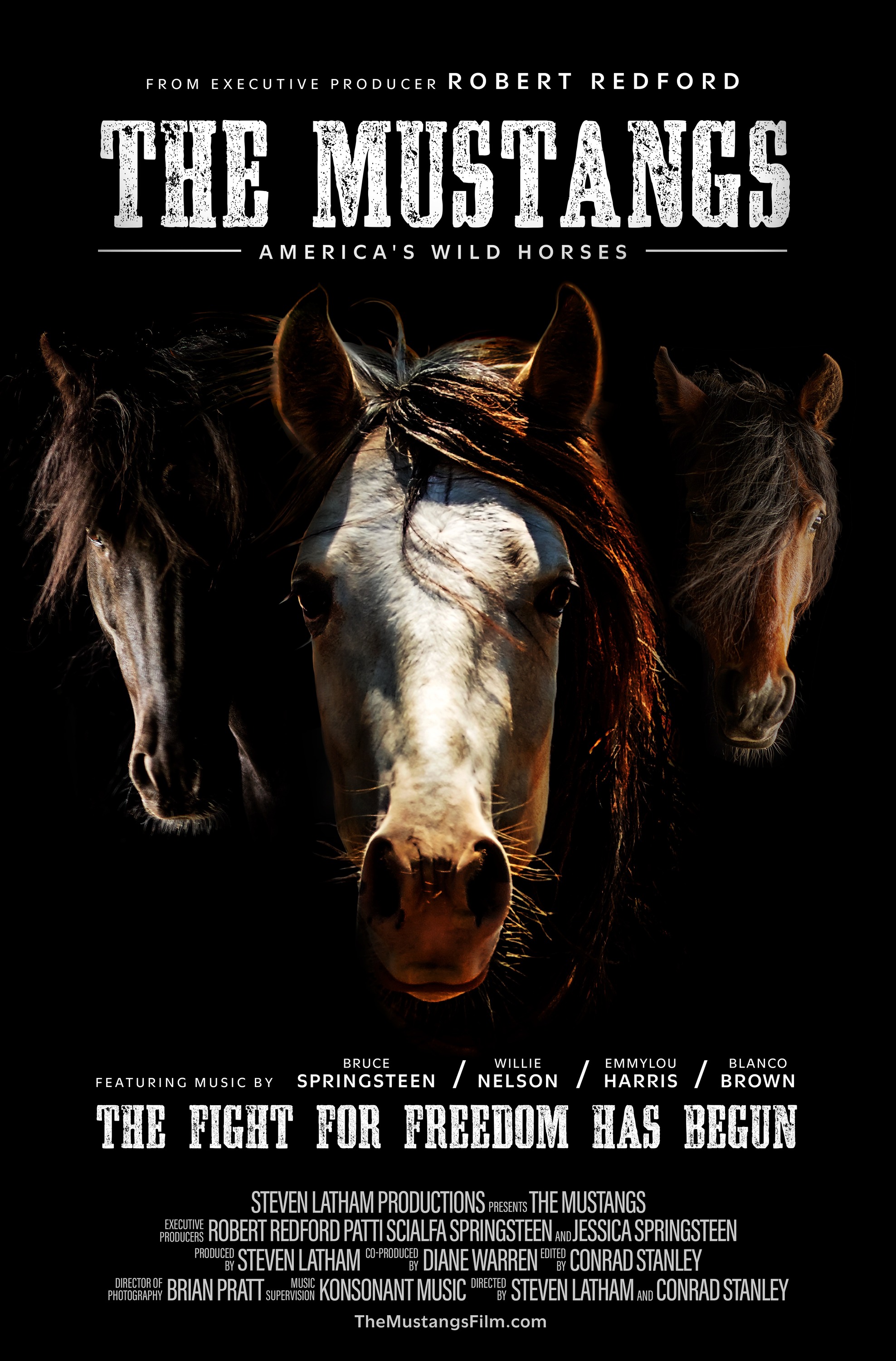 Mega Sized Movie Poster Image for The Mustangs: America's Wild Horses 