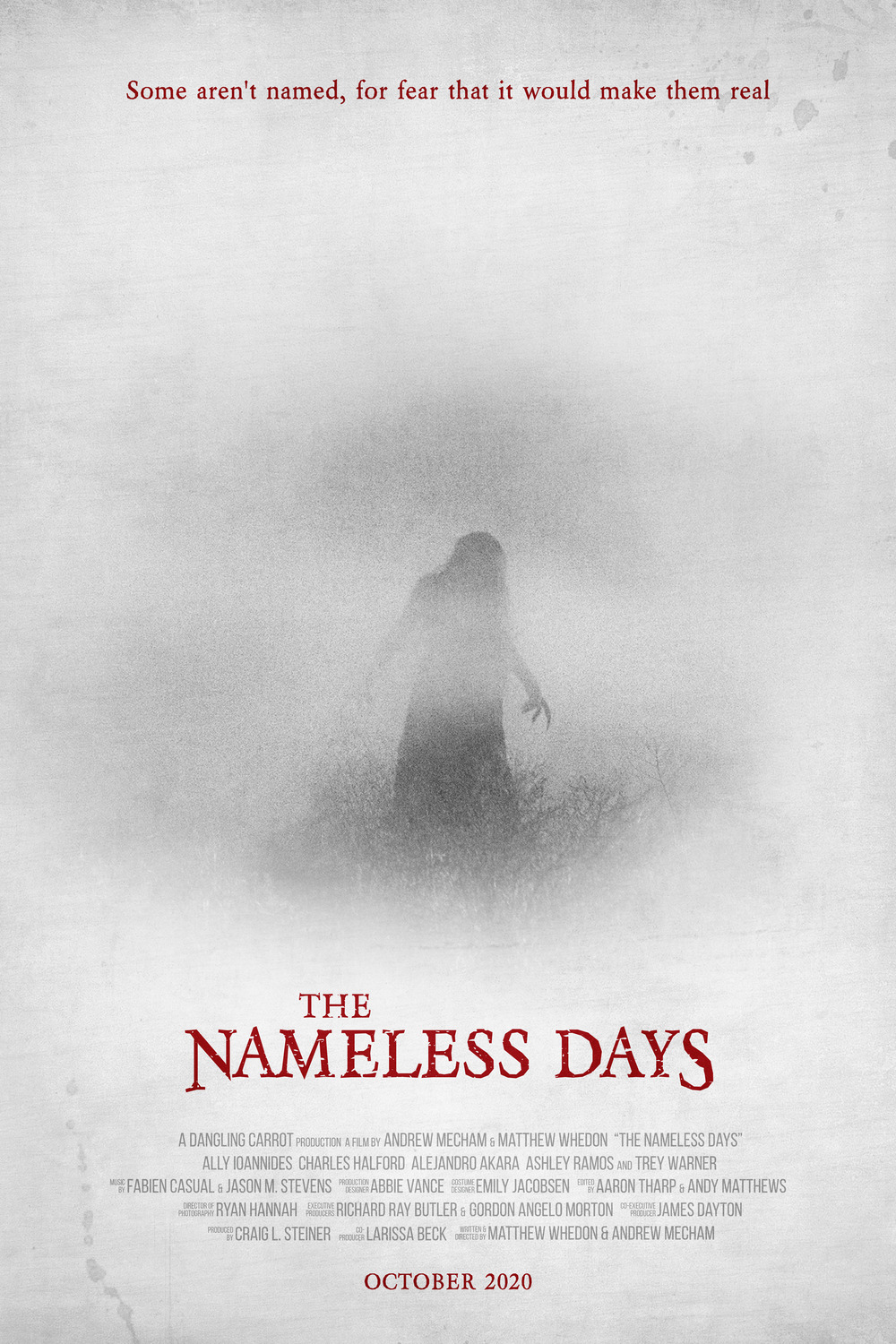 Extra Large Movie Poster Image for The Nameless Days 