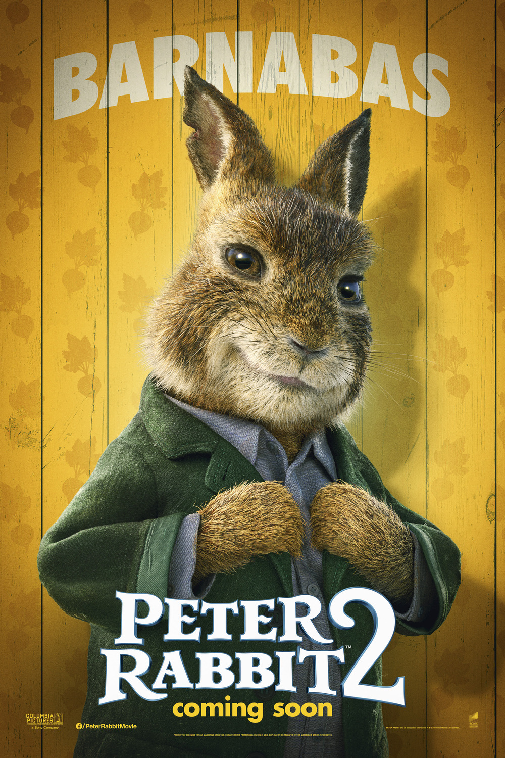 Extra Large Movie Poster Image for Peter Rabbit 2 (#13 of 20)