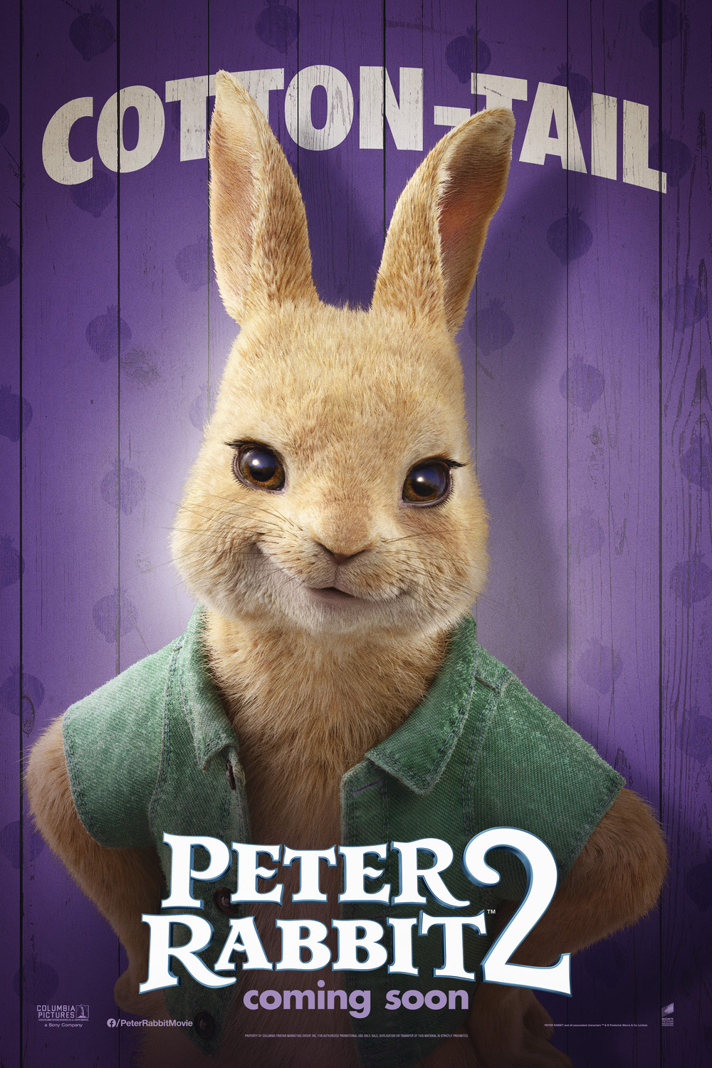 Extra Large Movie Poster Image for Peter Rabbit 2 (#15 of 20)