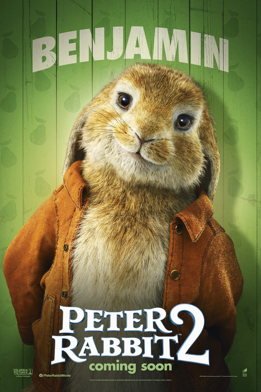 Extra Large Movie Poster Image for Peter Rabbit 2 (#16 of 20)