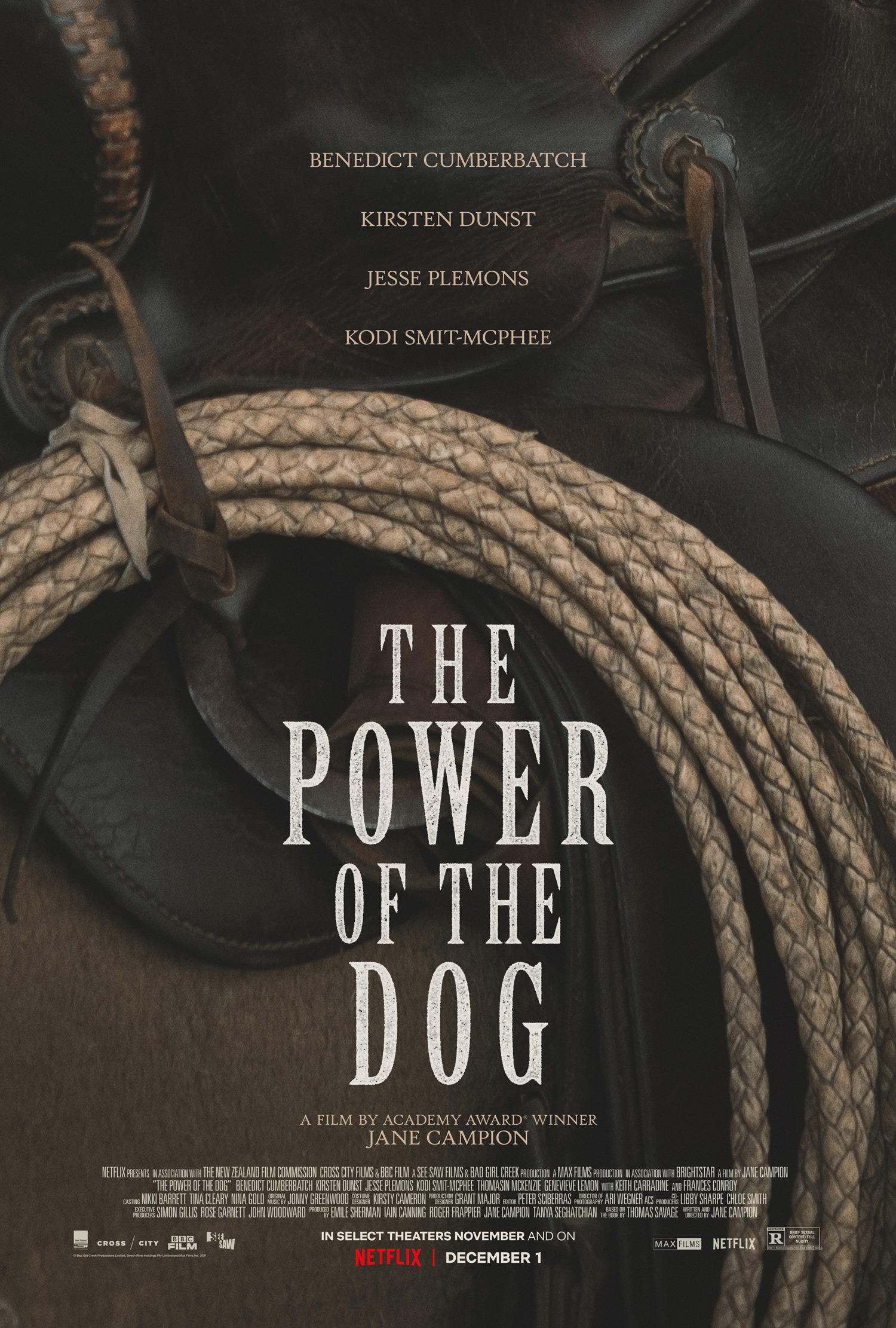 Mega Sized Movie Poster Image for The Power of the Dog (#4 of 6)
