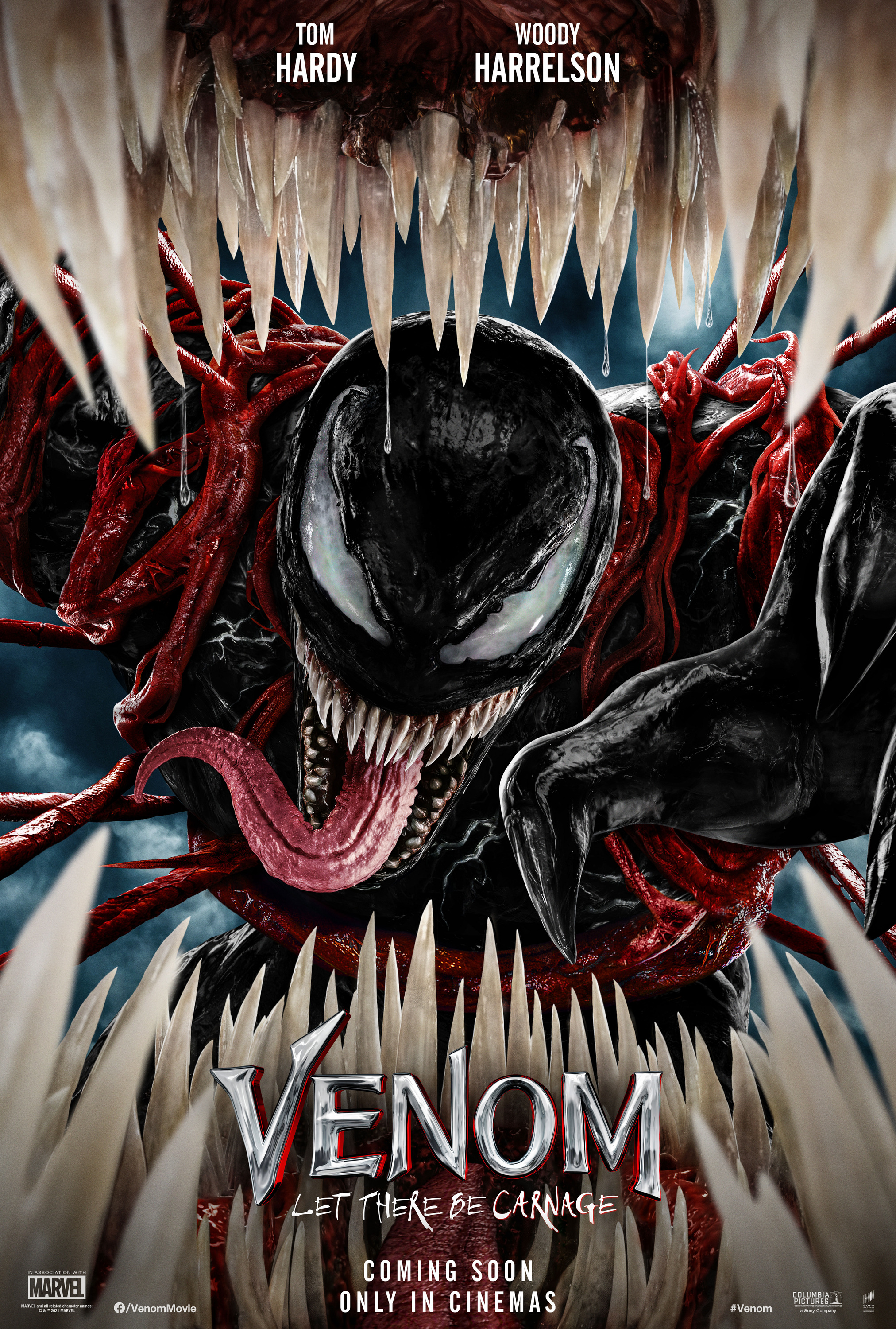 Mega Sized Movie Poster Image for Venom: Let There Be Carnage (#1 of 12)