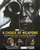 A Choice of Weapons: Inspired by Gordon Parks (2021) Thumbnail