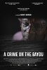 A Crime on the Bayou (2021) Thumbnail