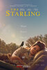 The Starling (2021) Thumbnail