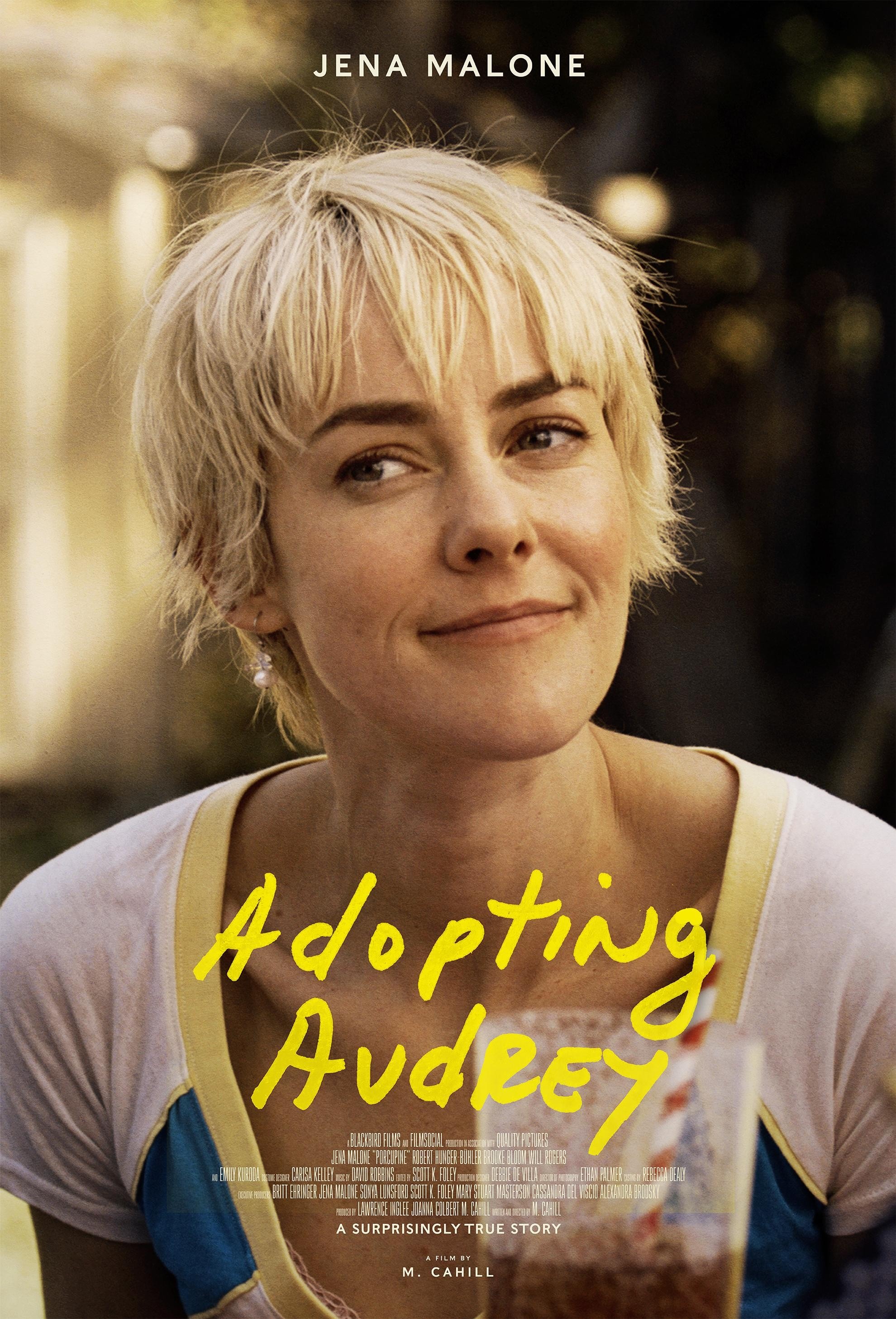 Mega Sized Movie Poster Image for Adopting Audrey 